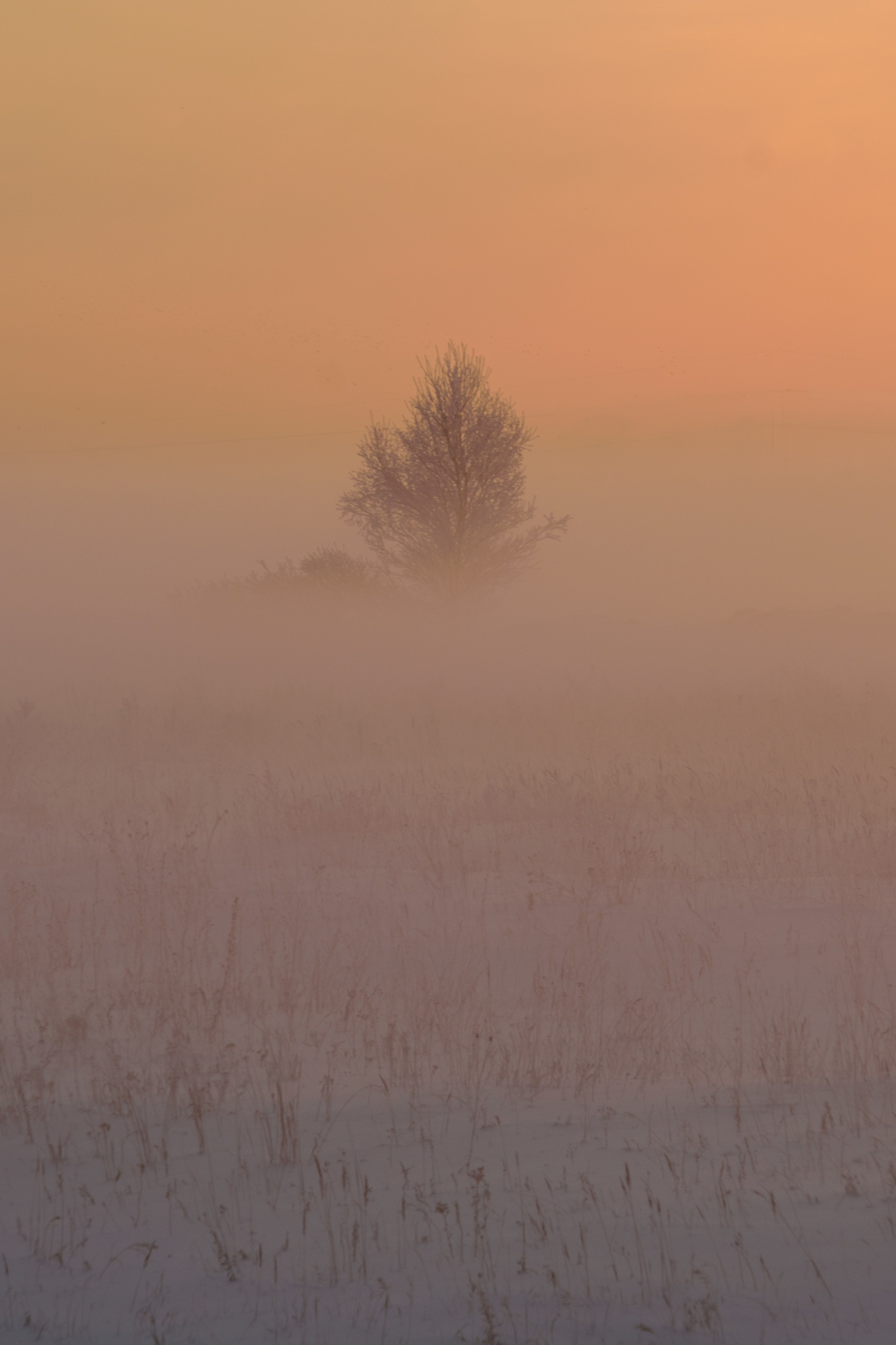 Природа. Фотограф в городе Омске Константин Зоткин