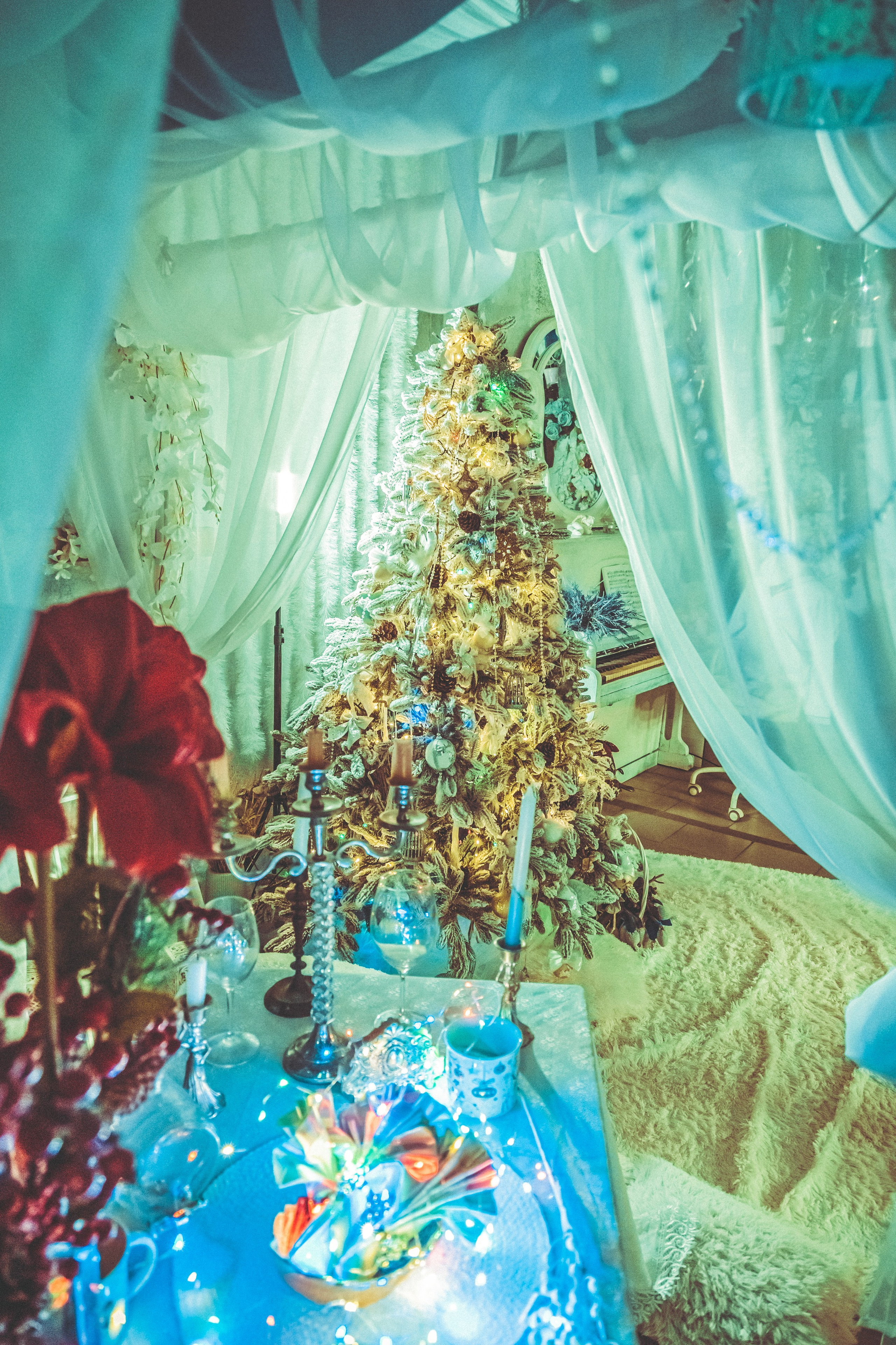 Фотограф Татьяна Марсуверских г. Жуковский, Москва. Репортаж, артфотограф, пейзажист, реставрация фотографий, ретушь, обработка фото. Фотограф для маркетплейсов, фотоуслуги в Жуковском Татьяна Марсуверских