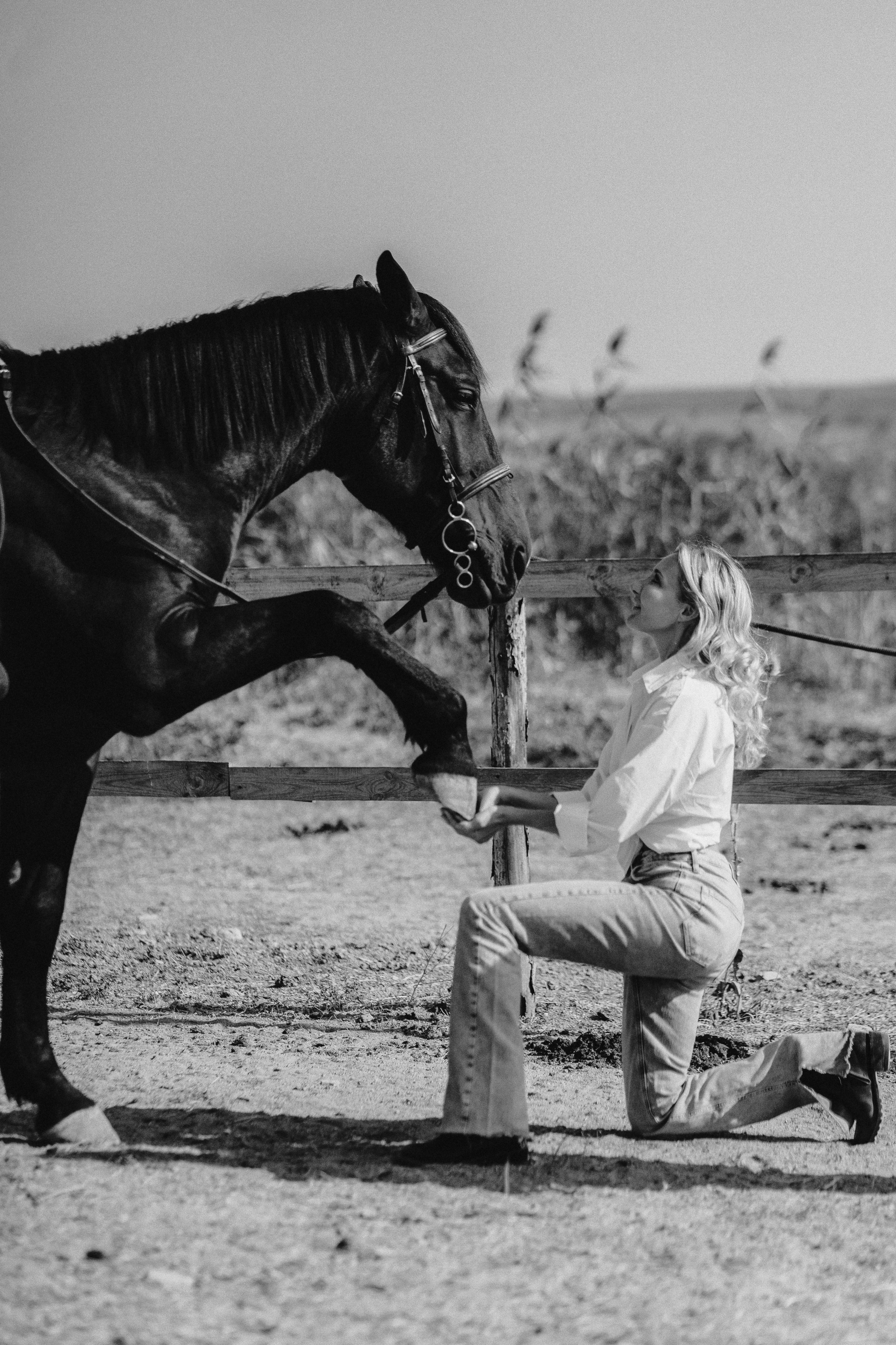 BlackHorse. Фотограф в Анапе Муратова Анна