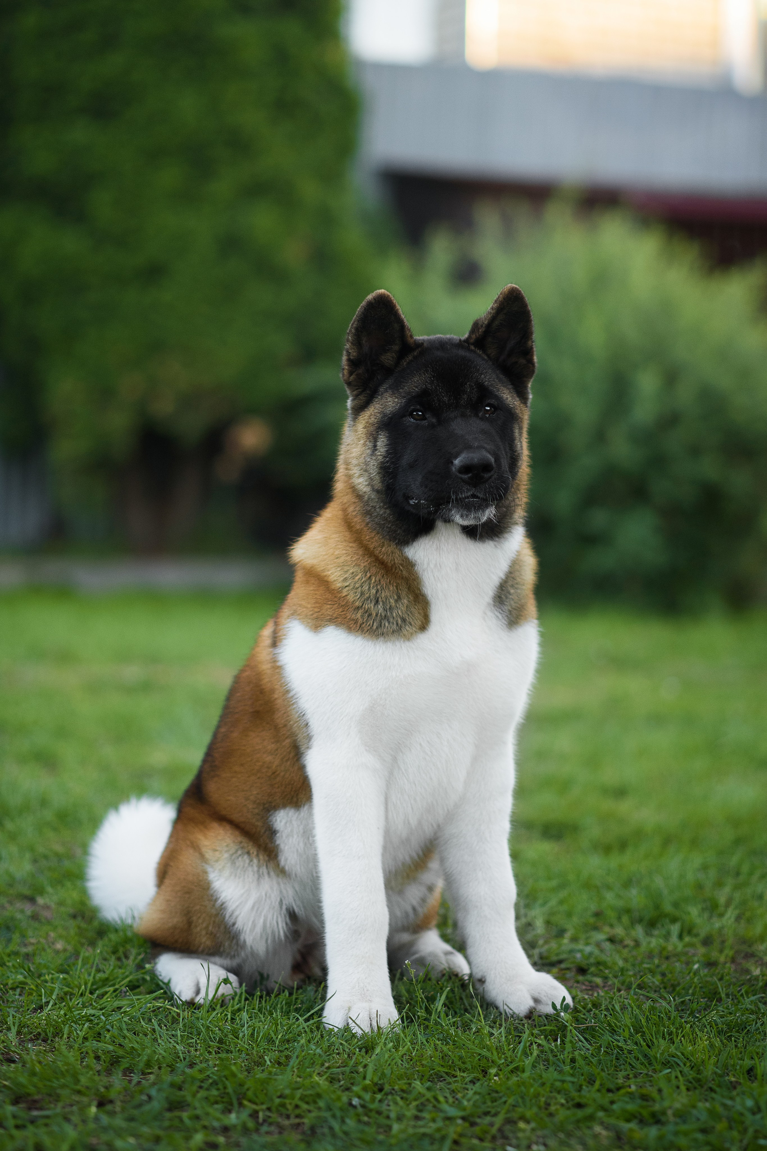 Луна — 21.06.2024. Фотограф — Анималист | Анна Абрамова