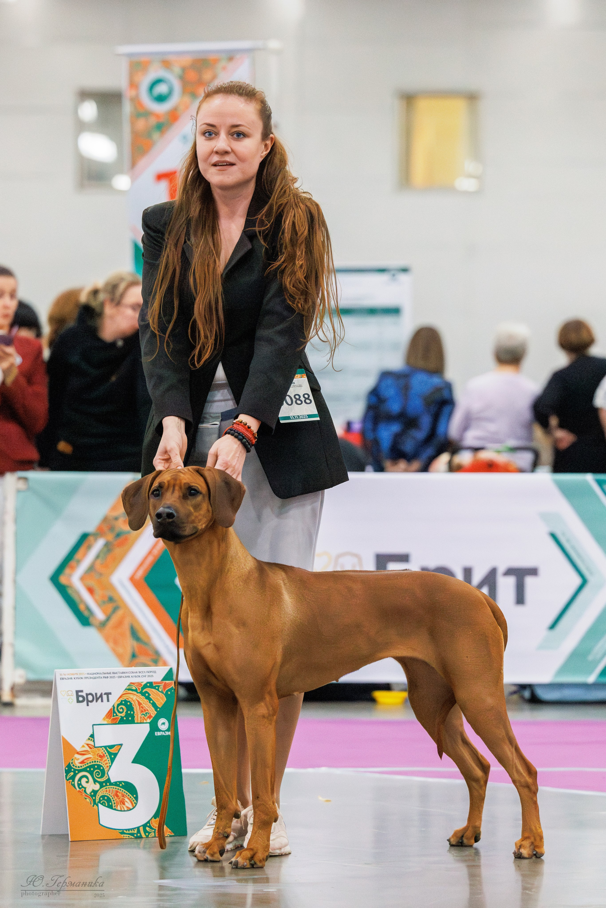 Евразия 15-16.11.2025. Фотограф-анималист Юлия Германика