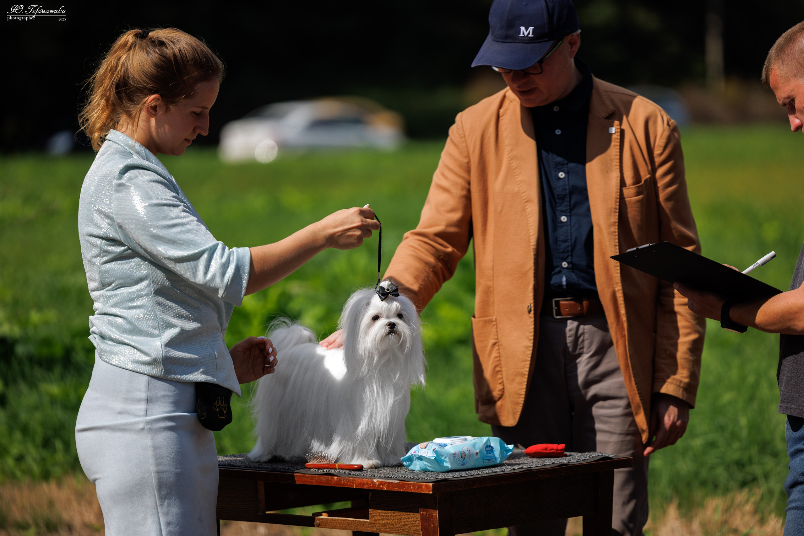 Тверь 10.08.2025. Фотограф-анималист Юлия Германика