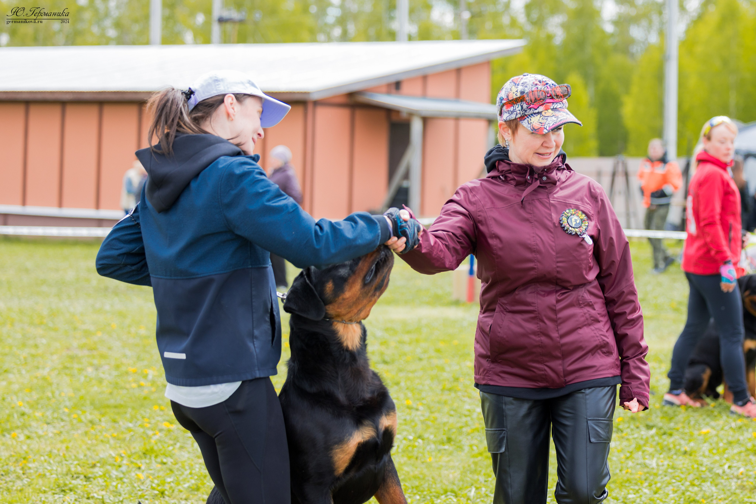 Нижний Новгород 11-12.05.2024 моно ротвейлеров. Фотограф-анималист Юлия Германика