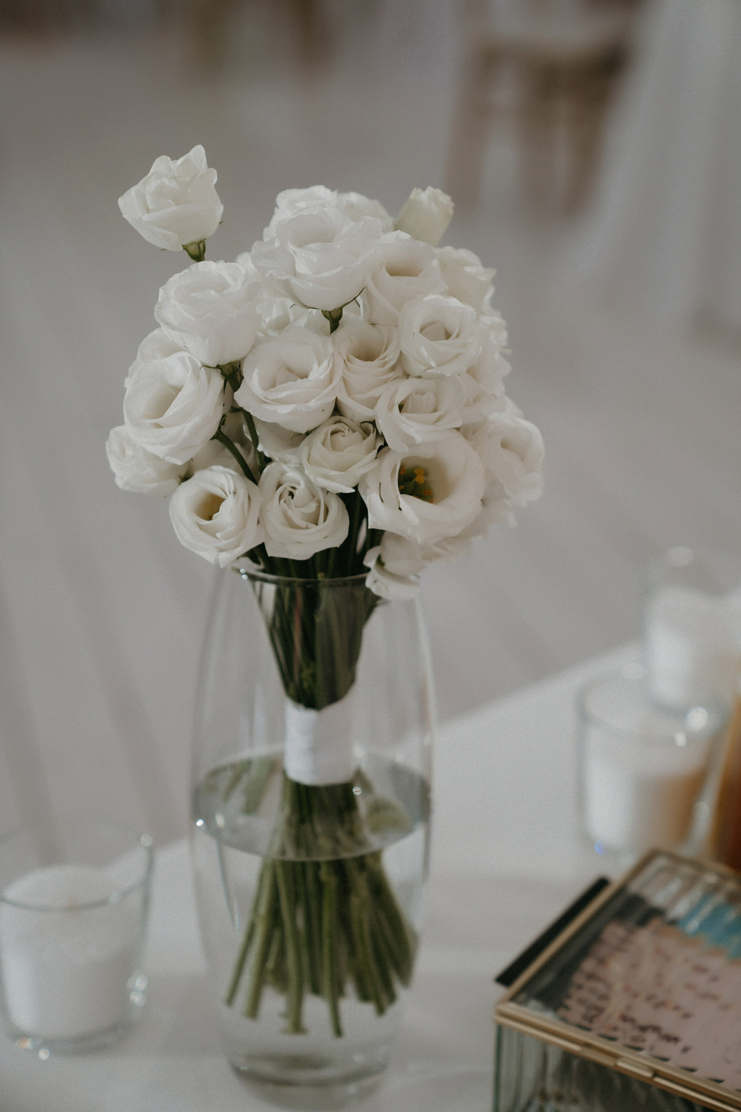 4/08/23. Фотограф Наталья Шелест