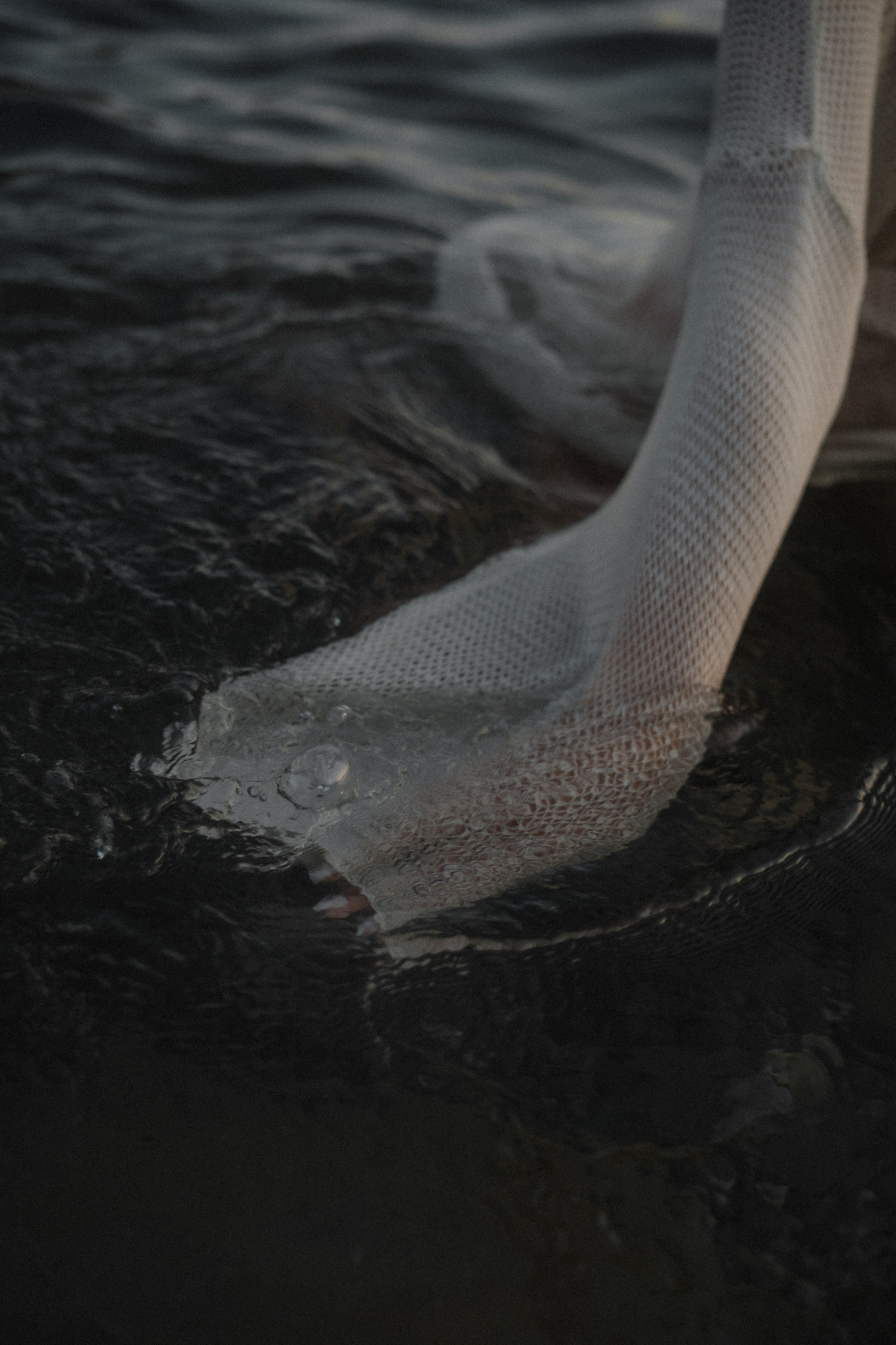 17. Фотограф Батуми | Ксения Кинасова