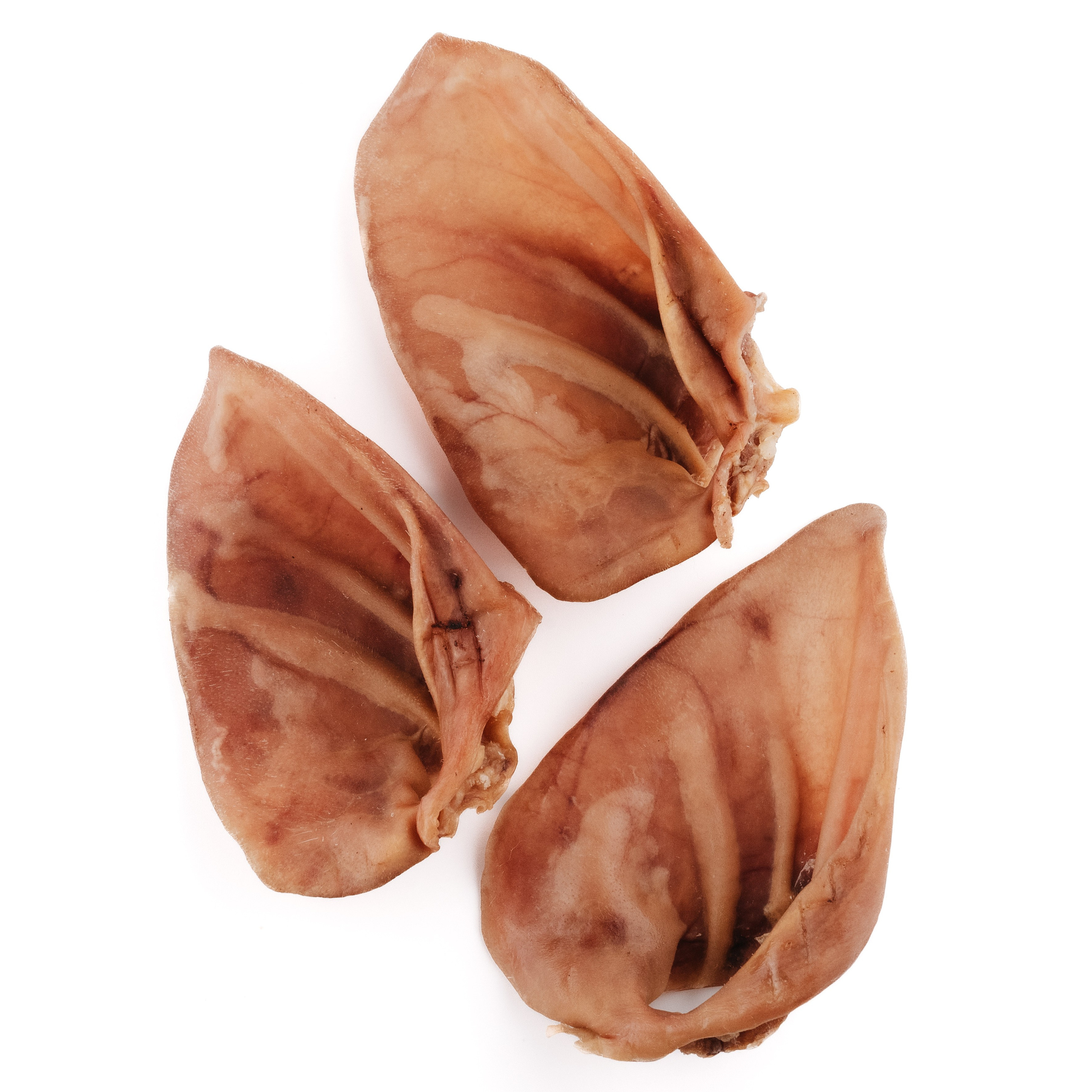 Dog Bone лакомства. Фотограф-анималист Валерия, Москва, Мытищи