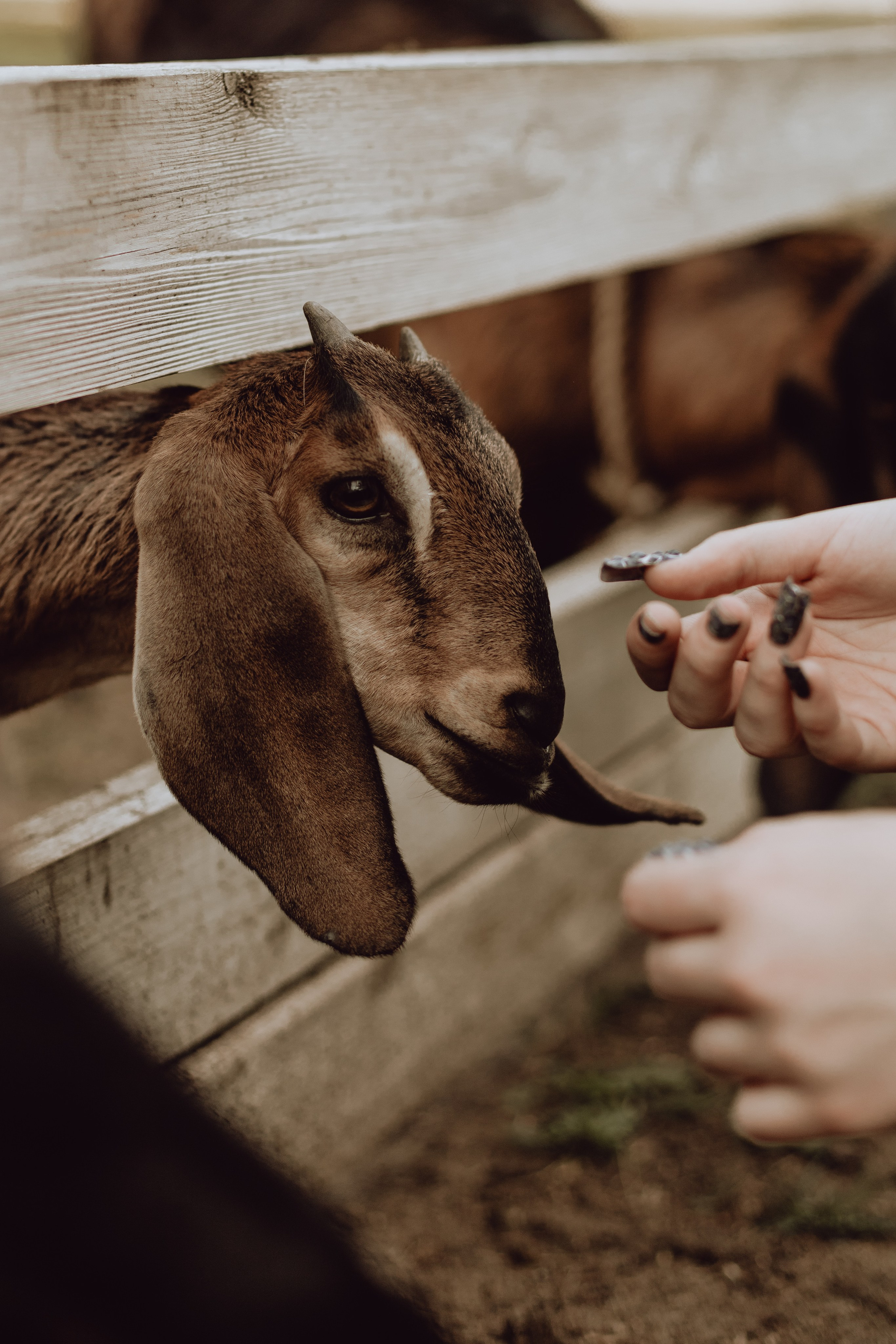 Наташа. Главная