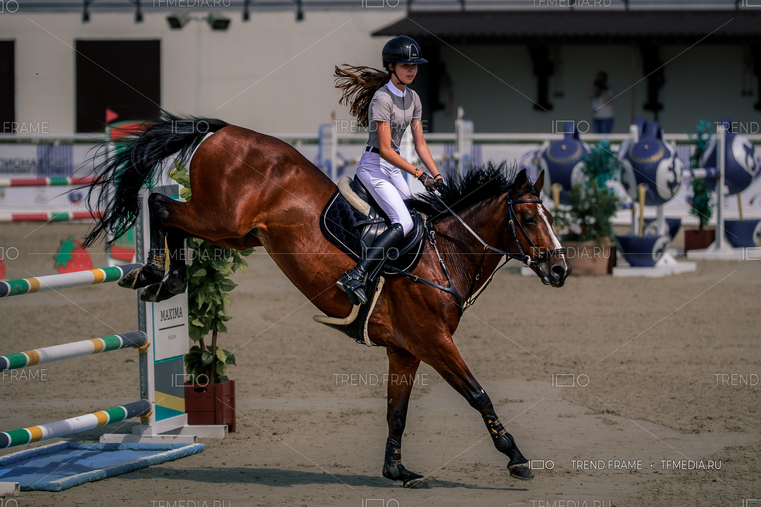 Евразийские Игры 2025 — фото спорт на лошадях | Maxima Park