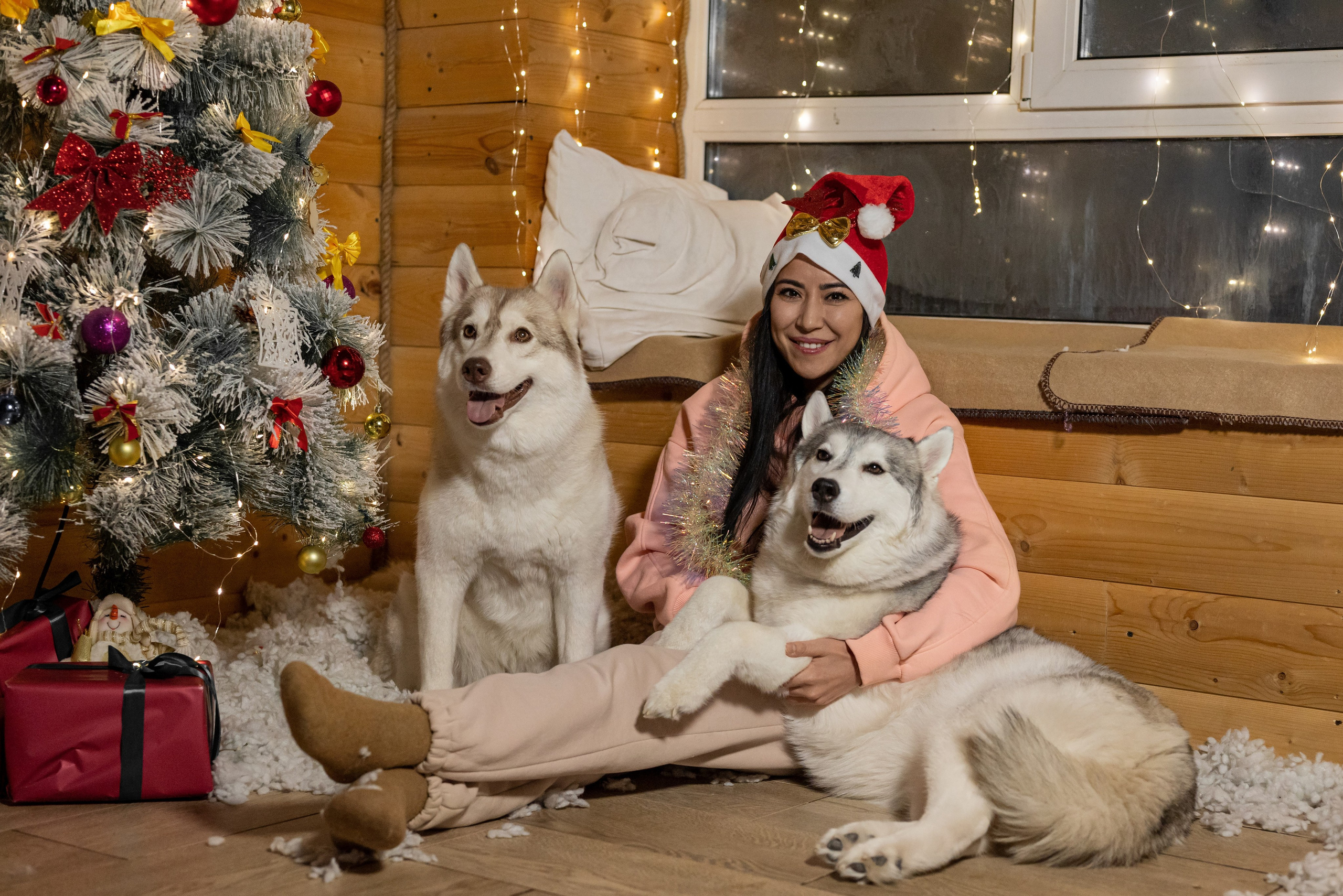 Фотопроект с хаски 2025 г. Фотограф в городе Салават