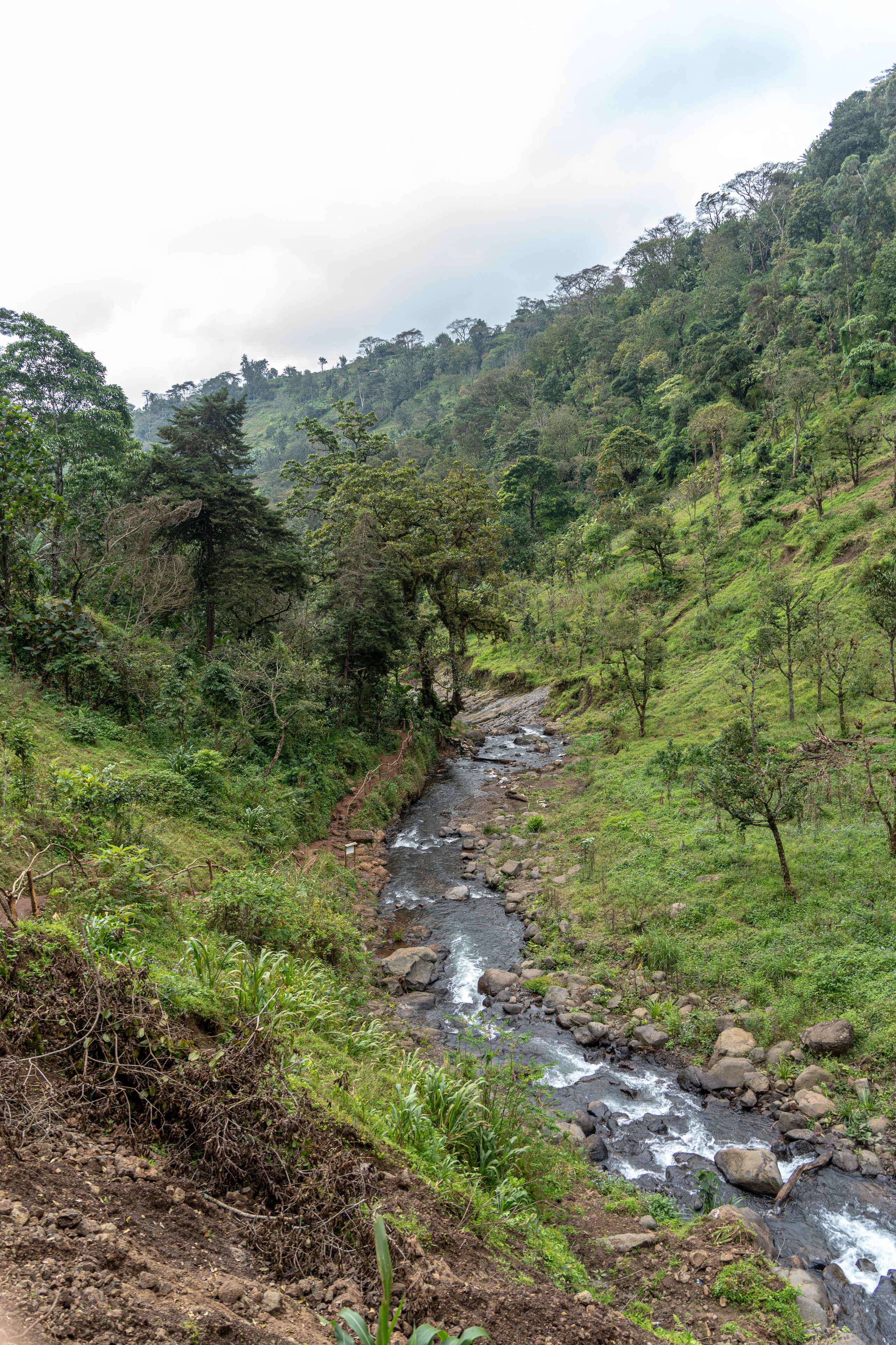 Танзания, сафари, 2025. Творческие сьемки