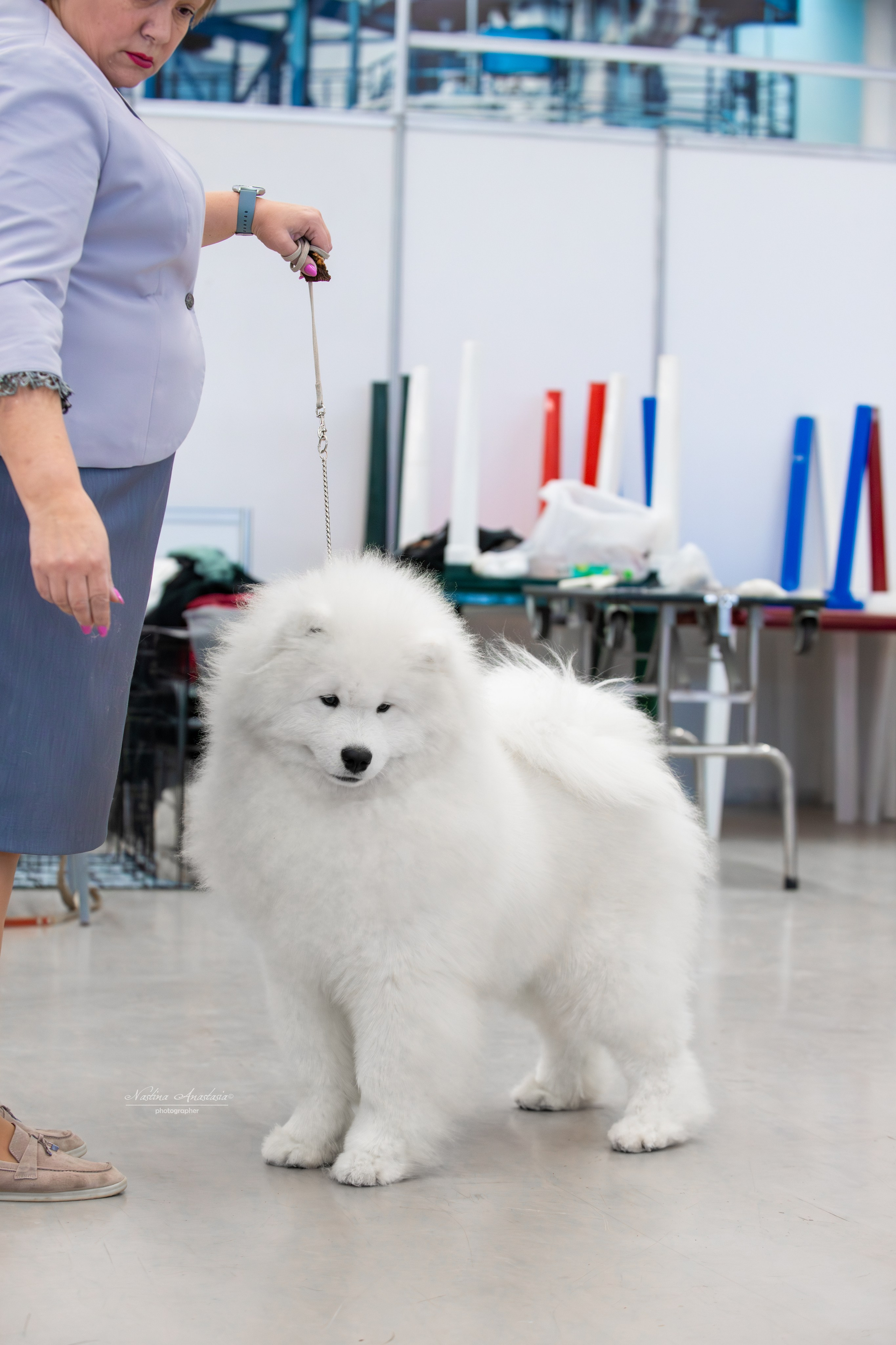 Выставки. Фотограф — Анималист