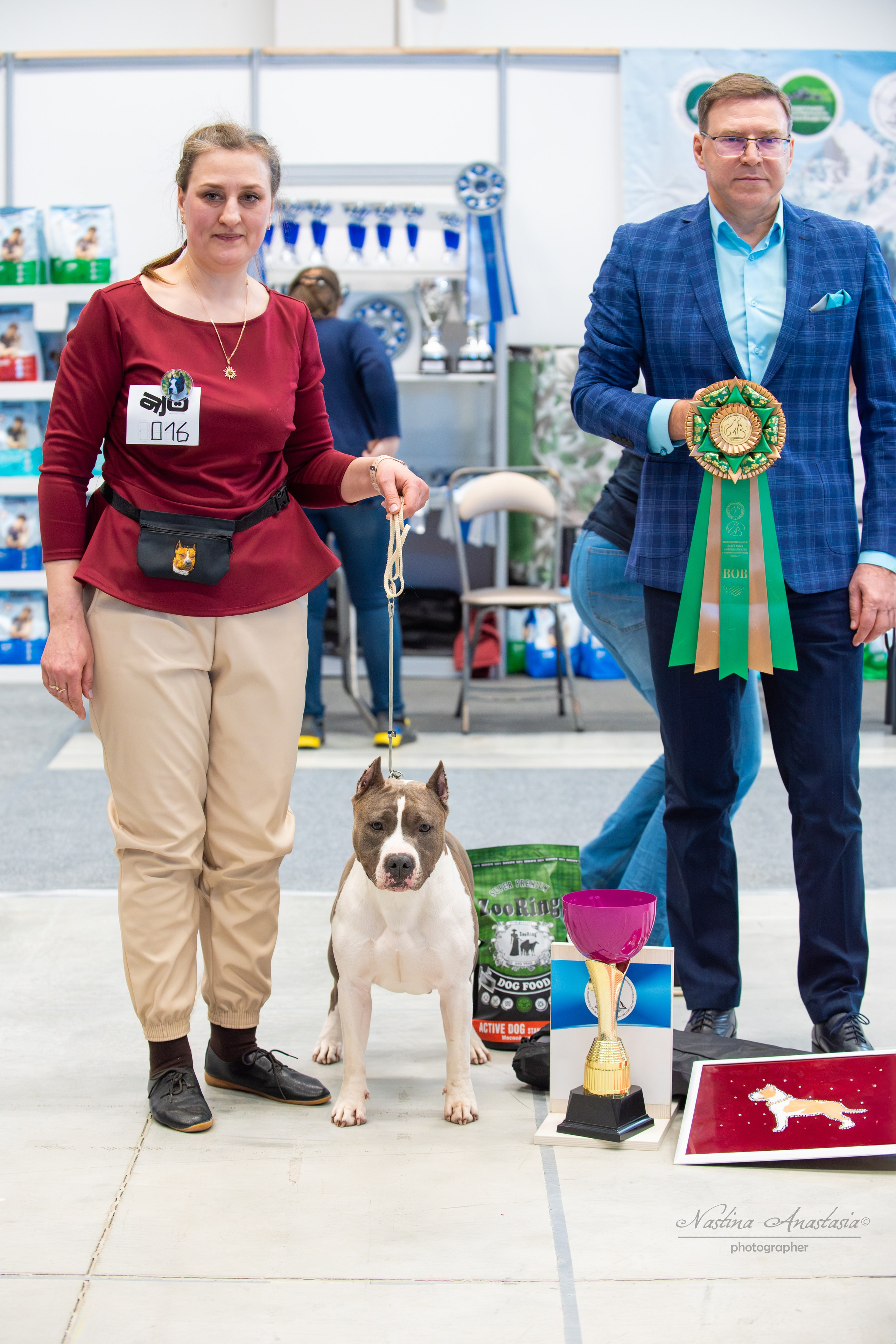 Выставки. Фотограф — Анималист