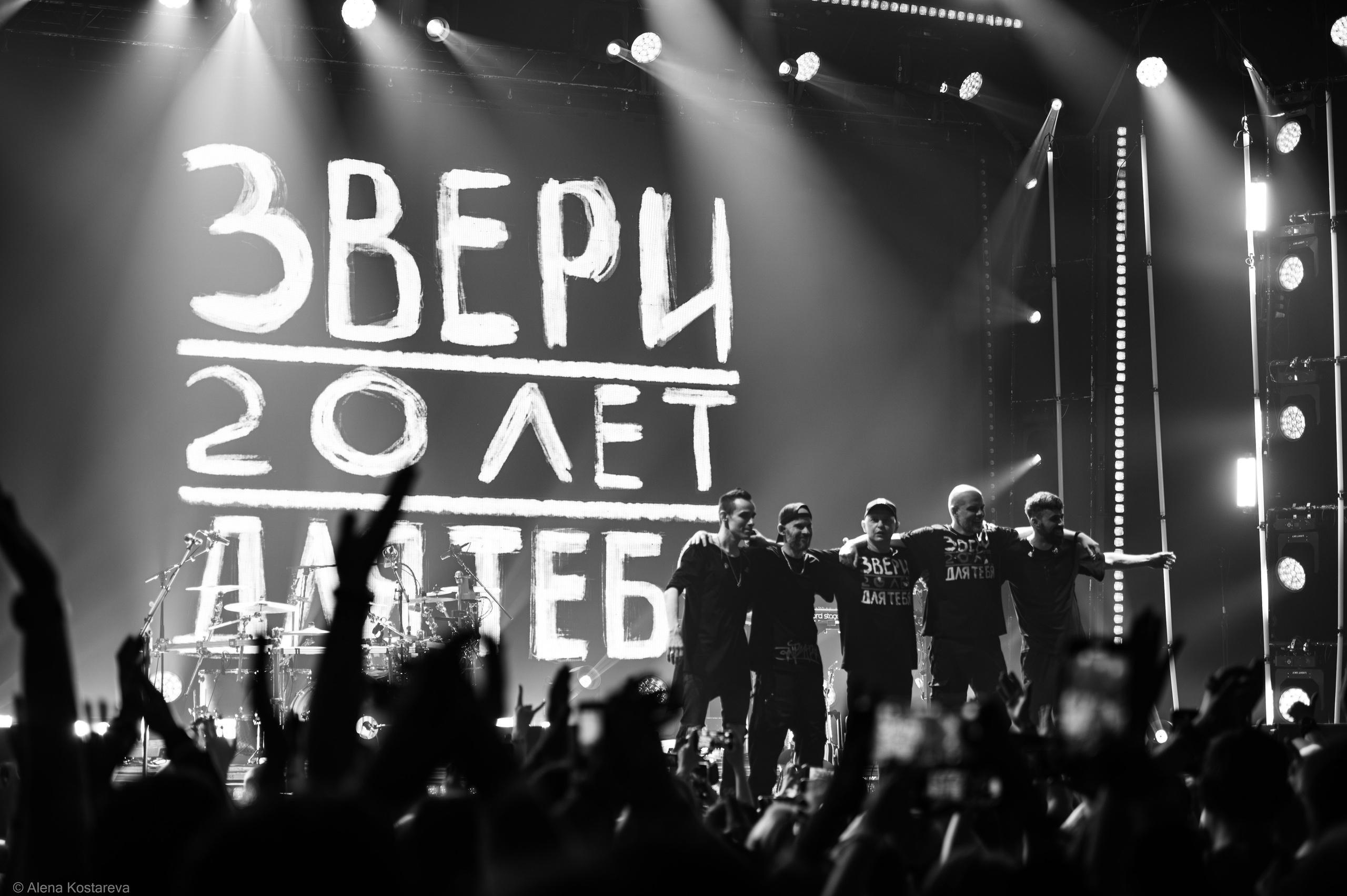 Звери. Алена Костарева. Фотограф в Ростове-на-Дону