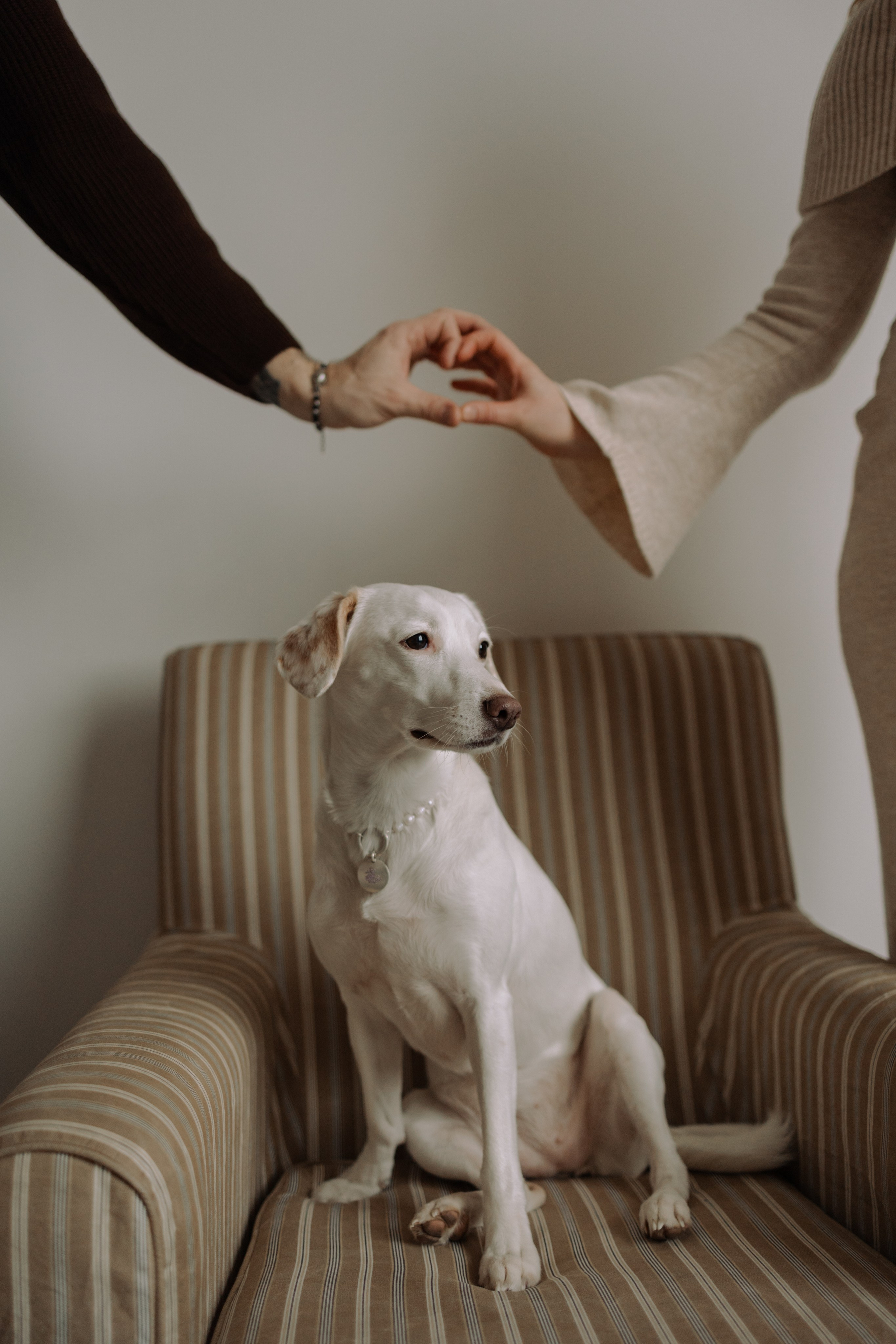 Луна и ее семья. Фотограф — Анималист | Санкт-Петербург