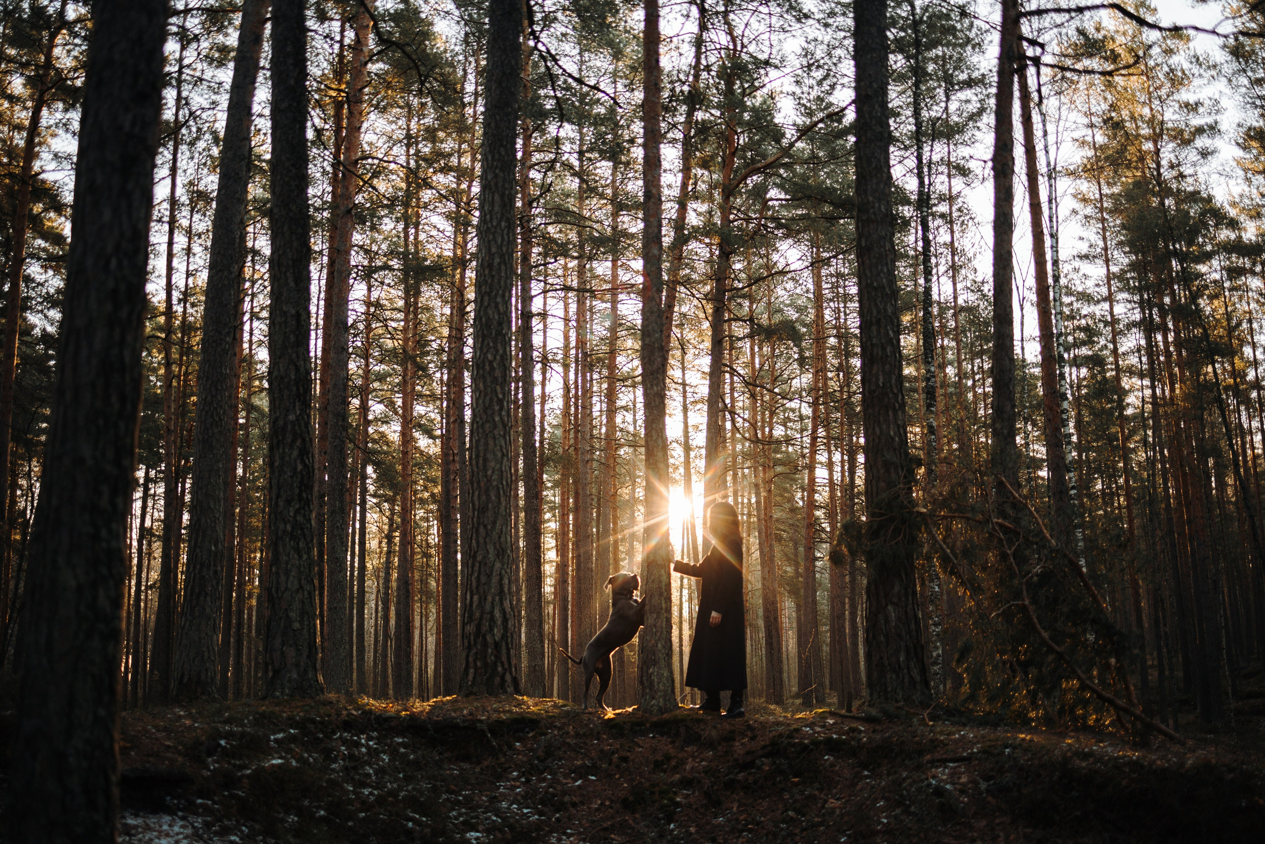 Анна и Лана. Фотограф — Анималист | Санкт-Петербург