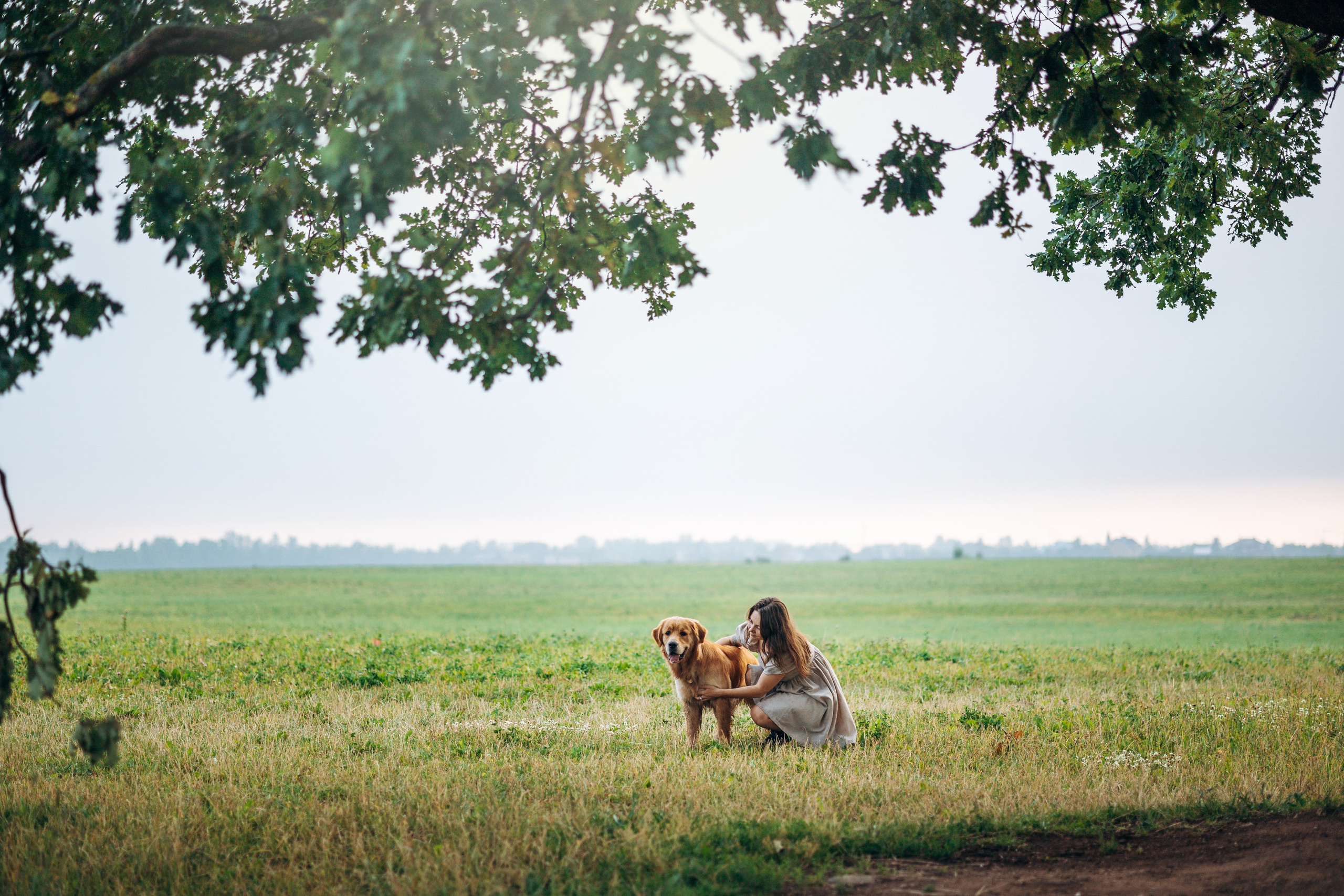 Аня и Ноллан. Фотограф — Анималист | Санкт-Петербург