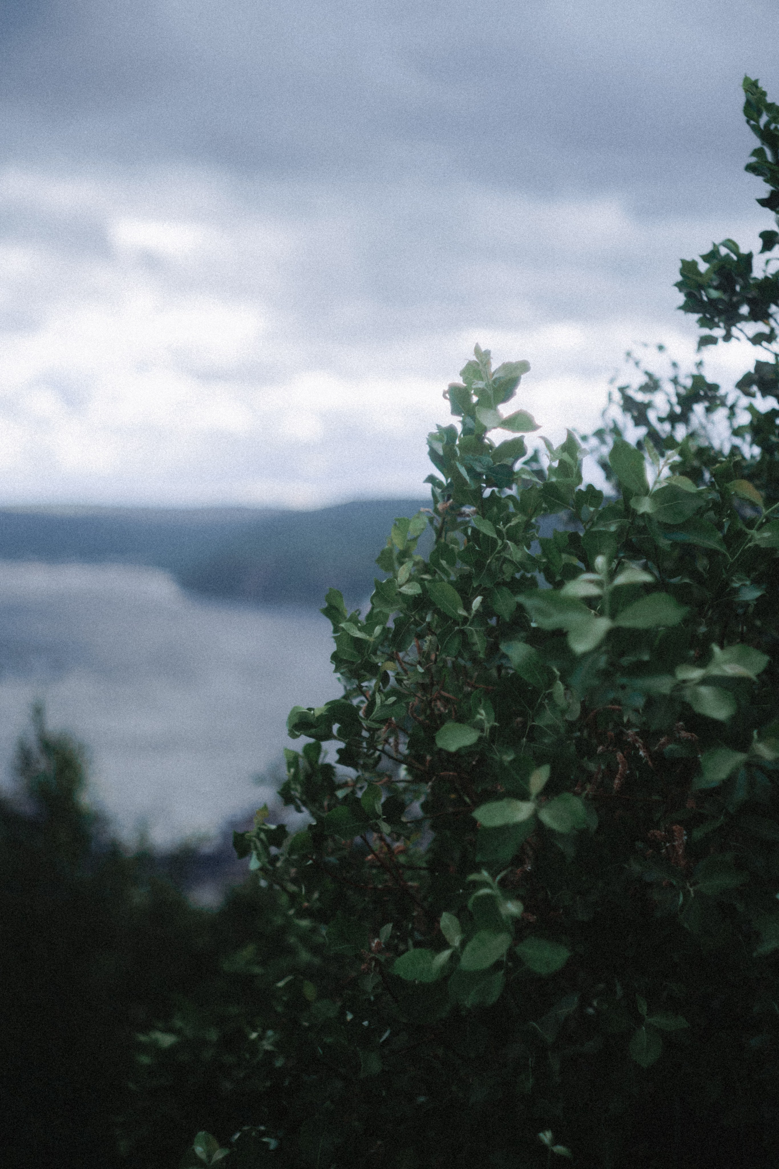 Териберка, Мурманск. Фотосъёмка для компании по организации туров в коллаборации с Яндекс 360