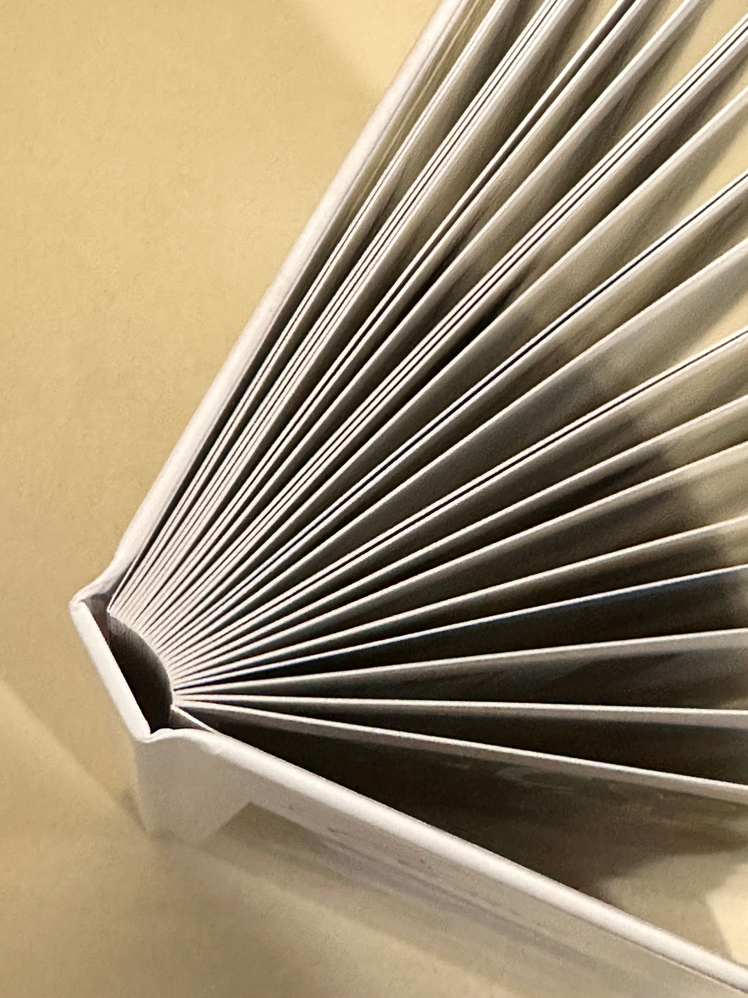 Книга семейная. Фотограф г. Пенза — Светлана Зойкина