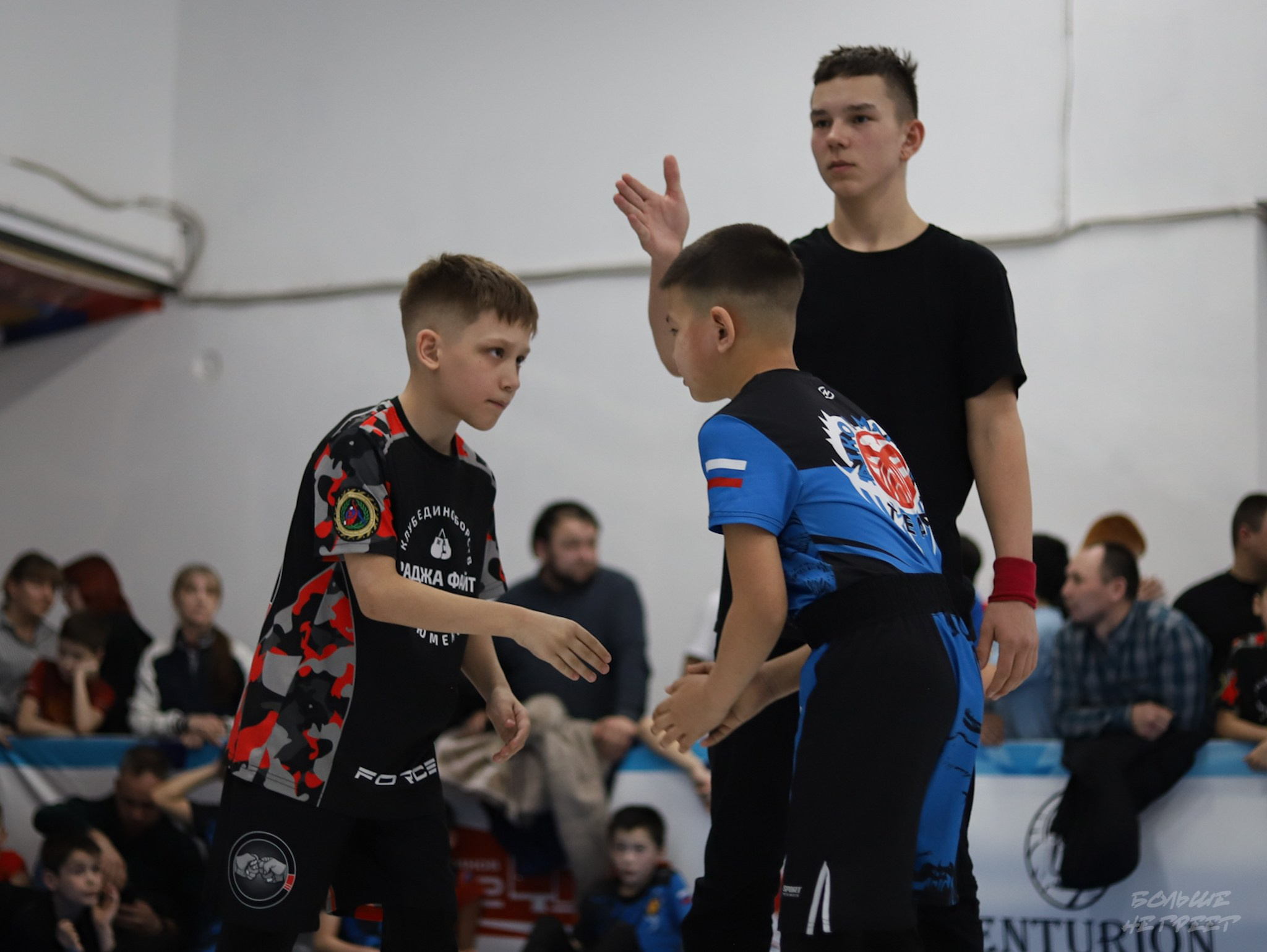 GORILLA PRIDE CUP. Больше не греет