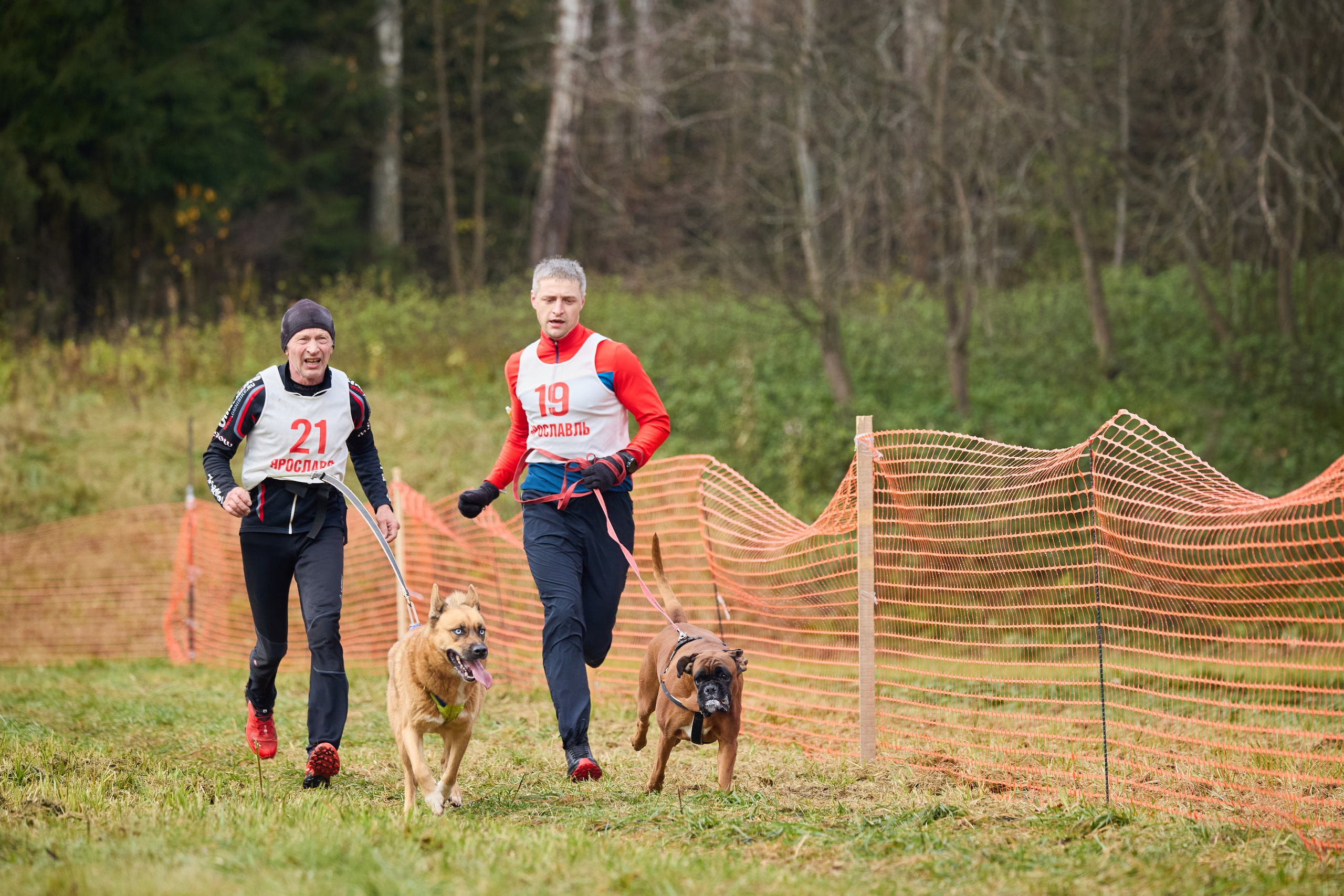 Чемпионат по ЕС Ярославской области. Фотограф Ирина Астор