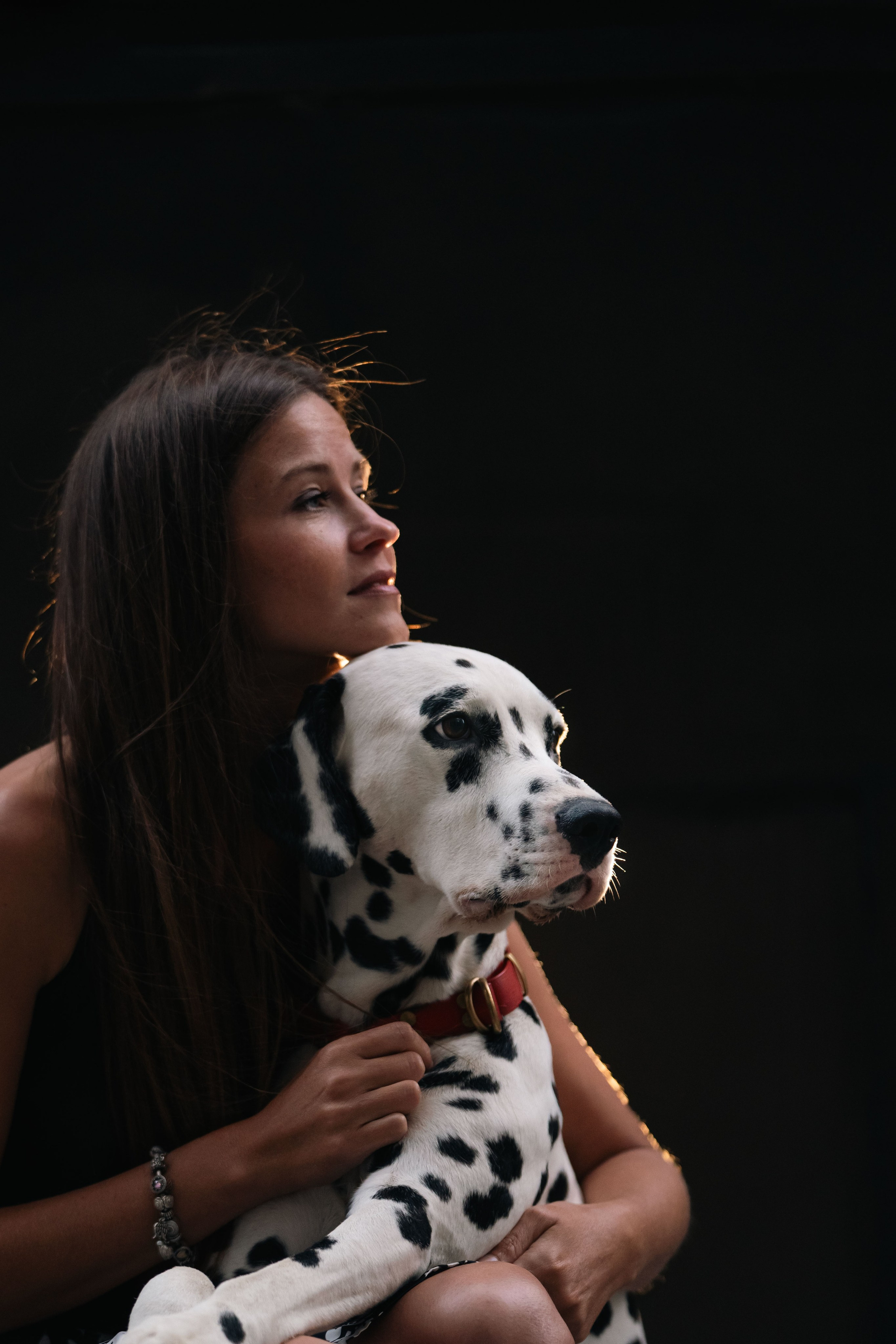 1 Далматин. Фотограф анималист