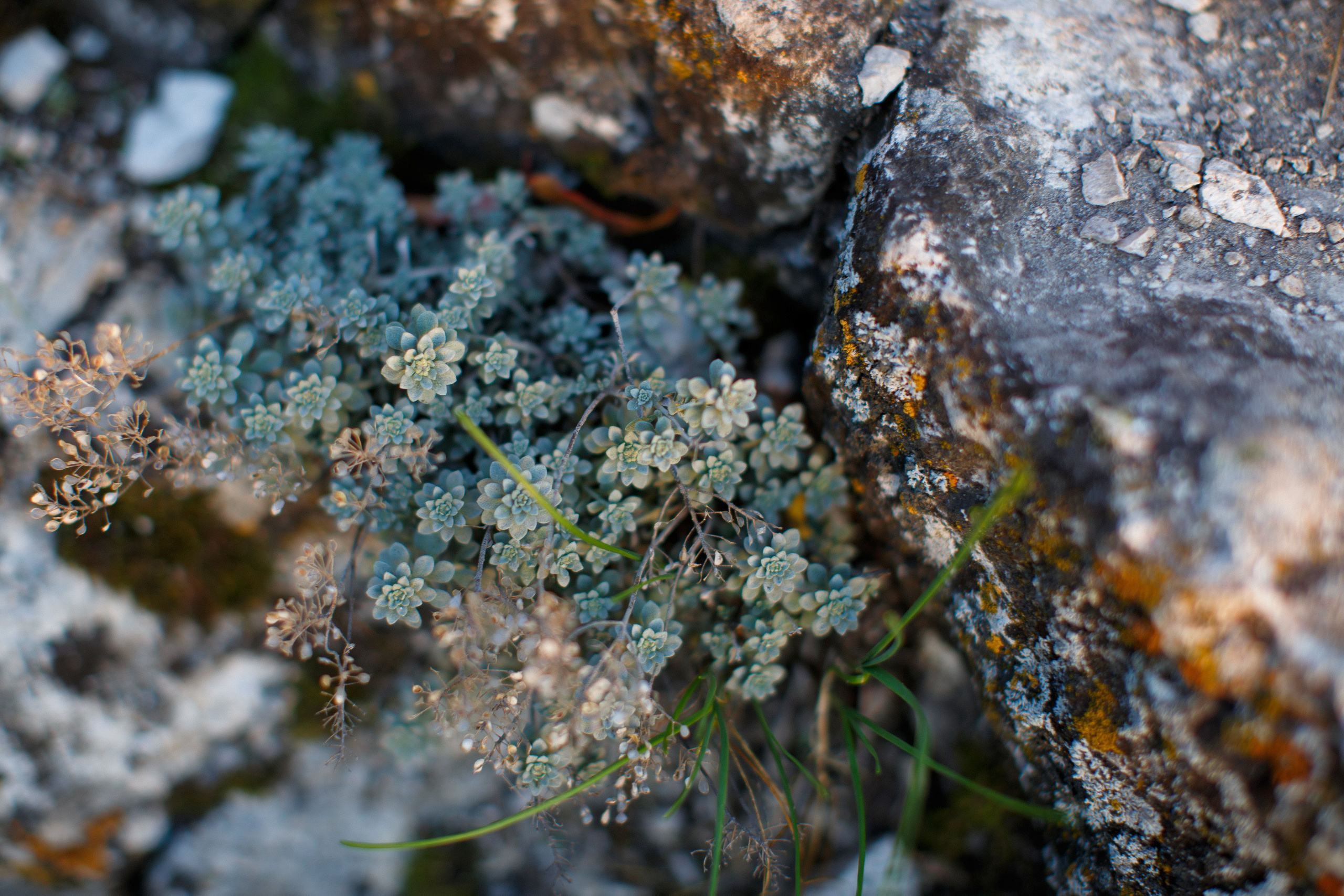 Природа, городские пейзажи. Свадебный, семейный и школьный фотограф в Сызрани Максим Баталов