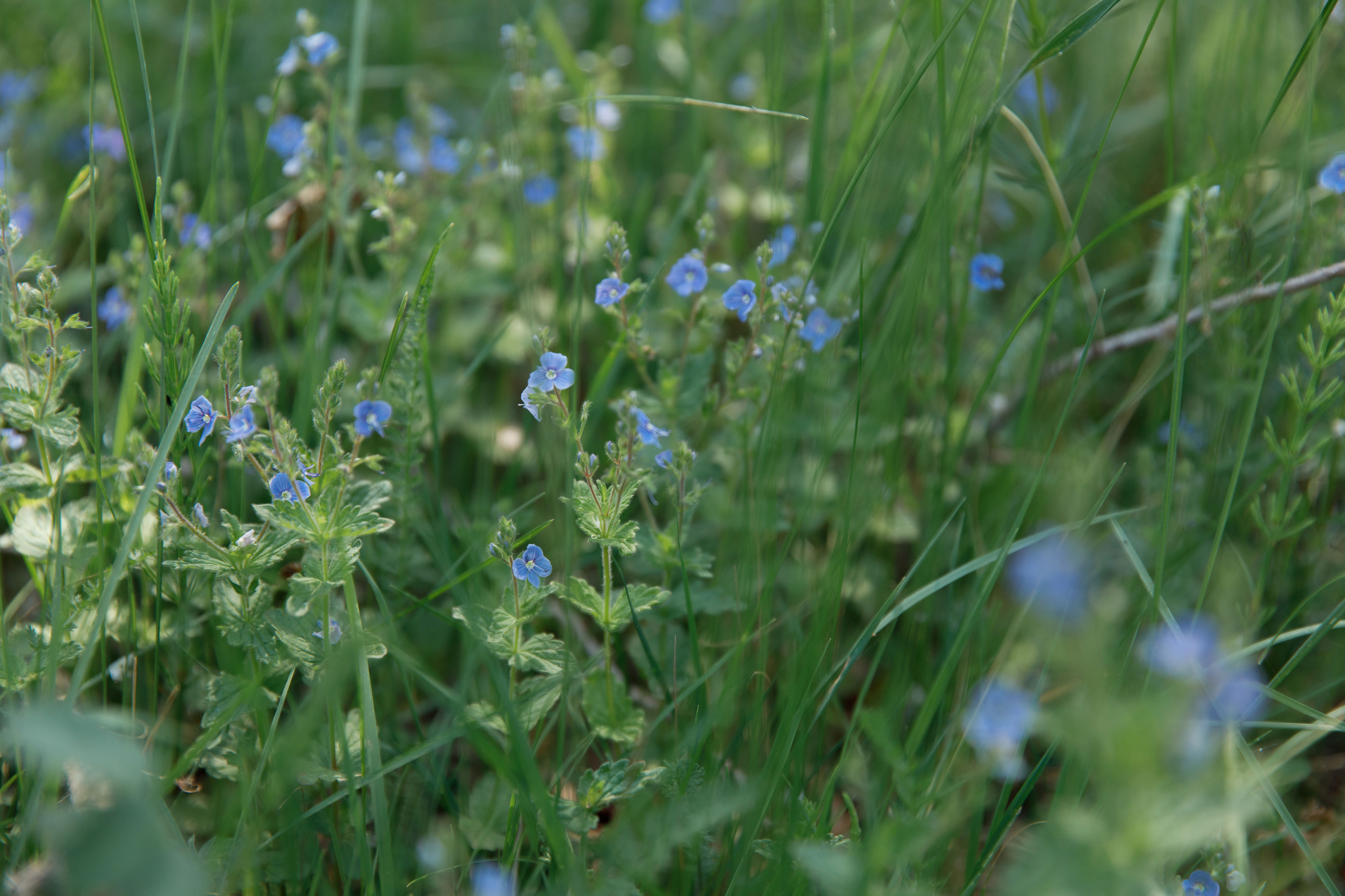Классный отдых. Свадебный, семейный и школьный фотограф в Сызрани Максим Баталов