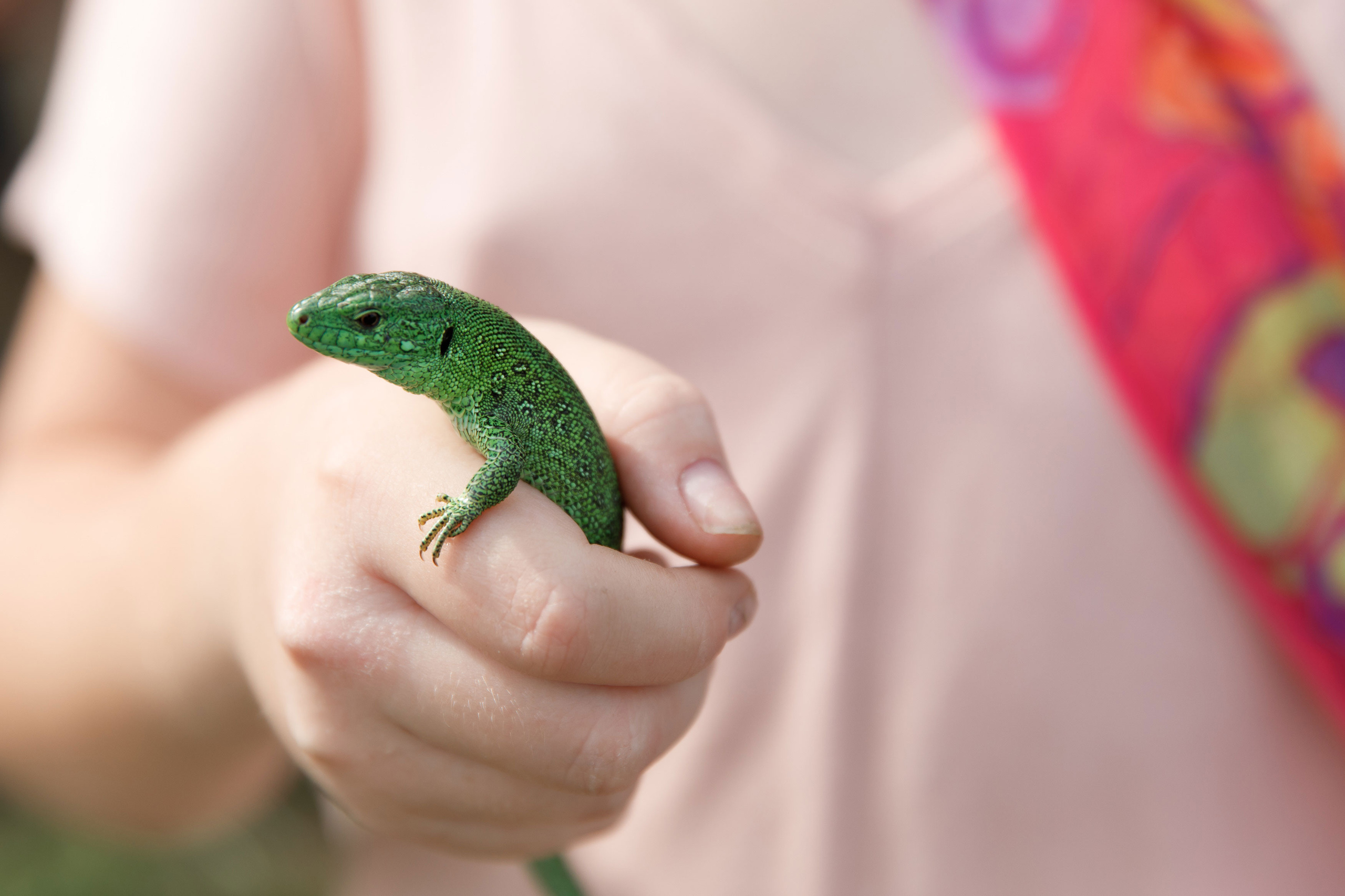 Классный отдых. Свадебный, семейный и школьный фотограф в Сызрани Максим Баталов