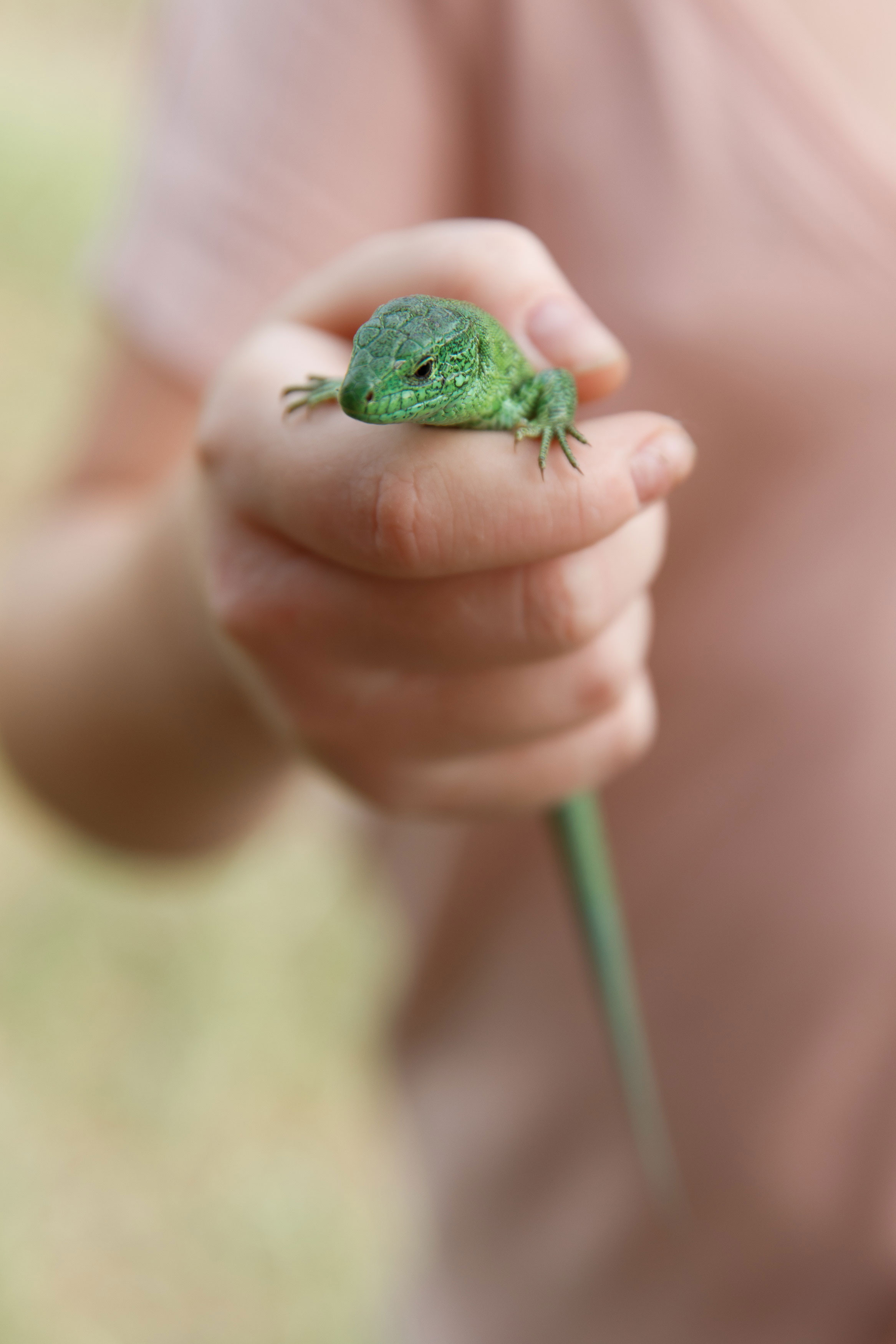 Классный отдых. Свадебный, семейный и школьный фотограф в Сызрани Максим Баталов