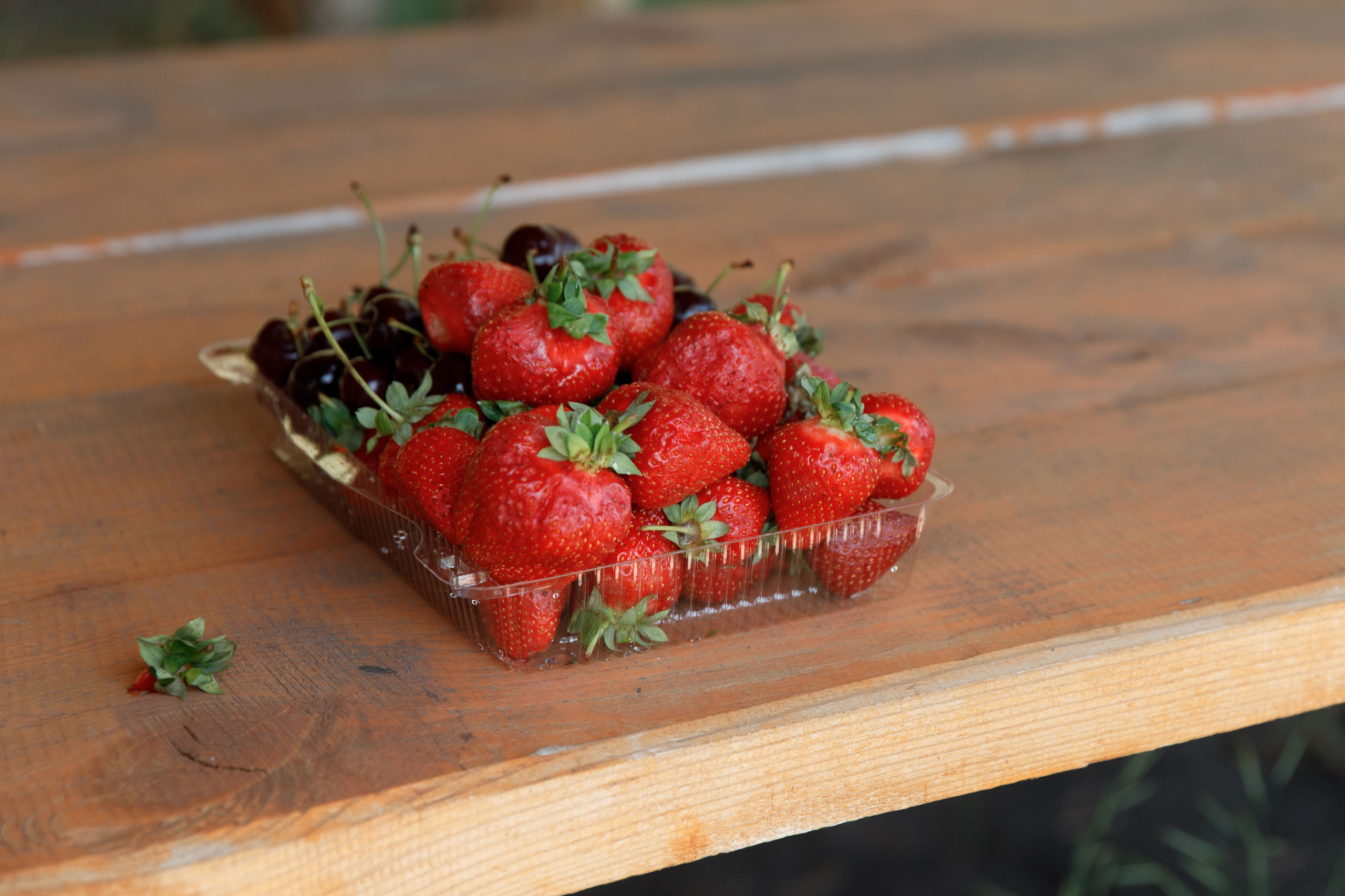 Классный отдых. Свадебный, семейный и школьный фотограф в Сызрани Максим Баталов