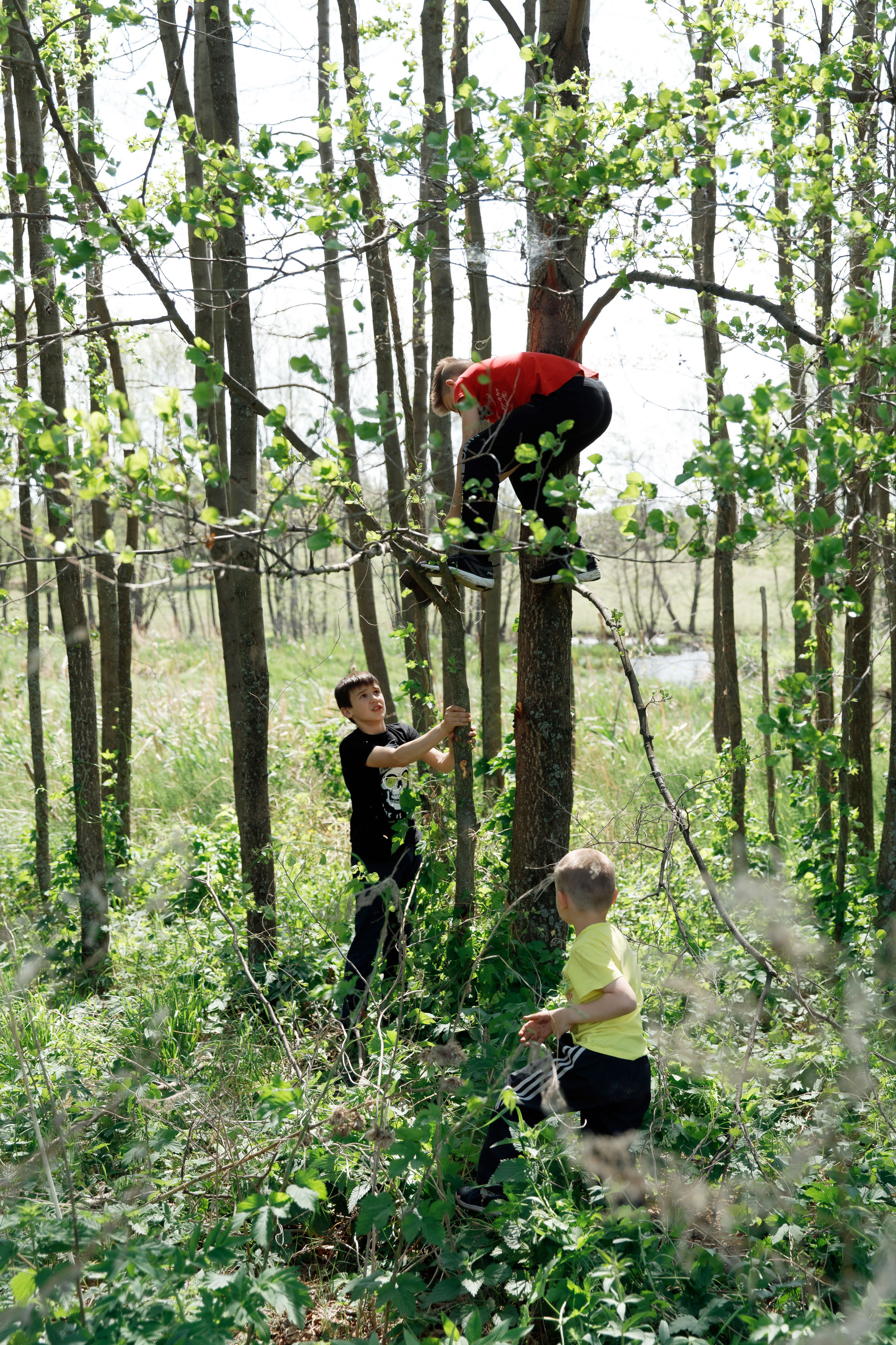 Классный отдых. Свадебный, семейный и школьный фотограф в Сызрани Максим Баталов