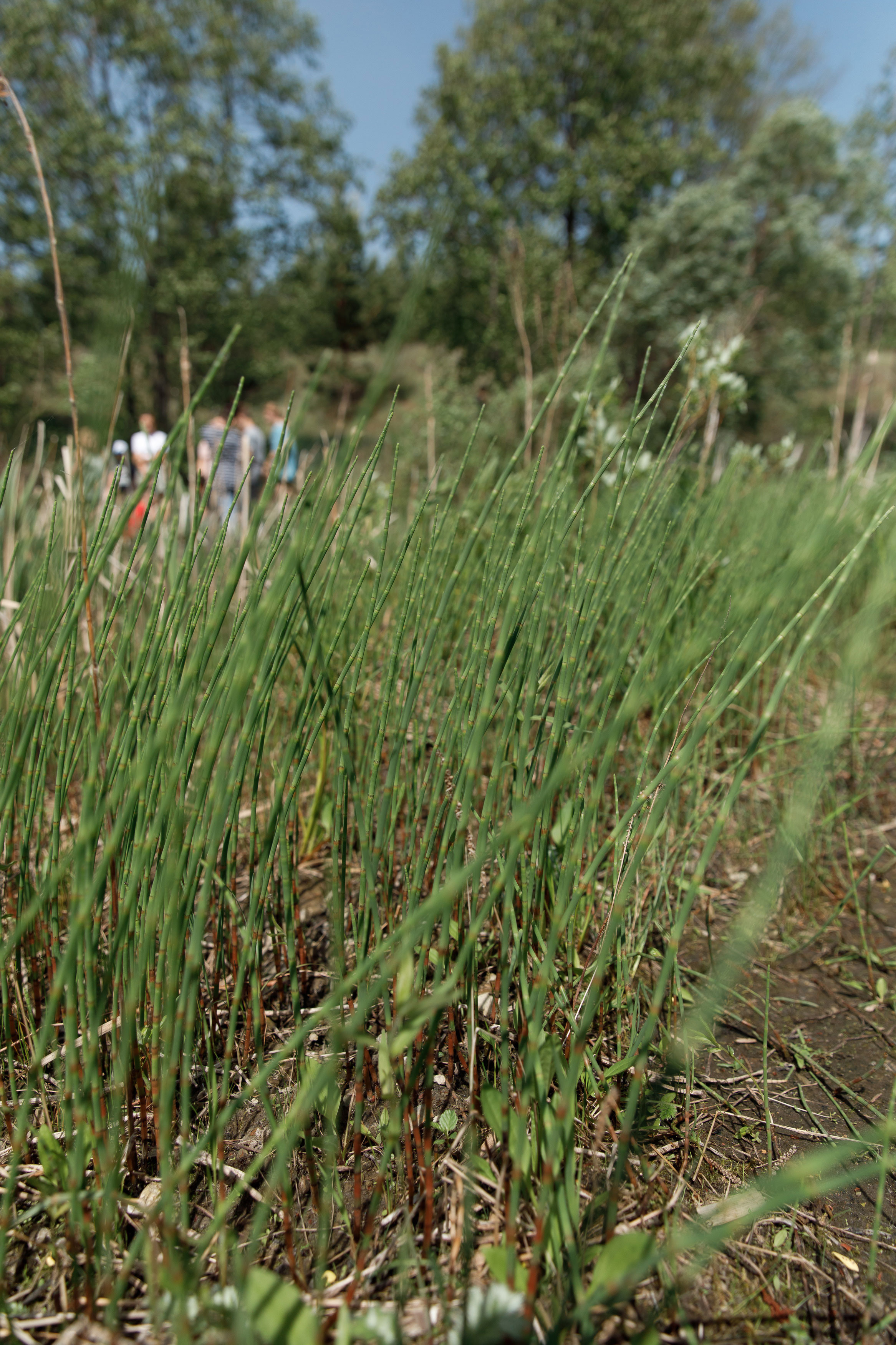 Классный отдых. Свадебный, семейный и школьный фотограф в Сызрани Максим Баталов
