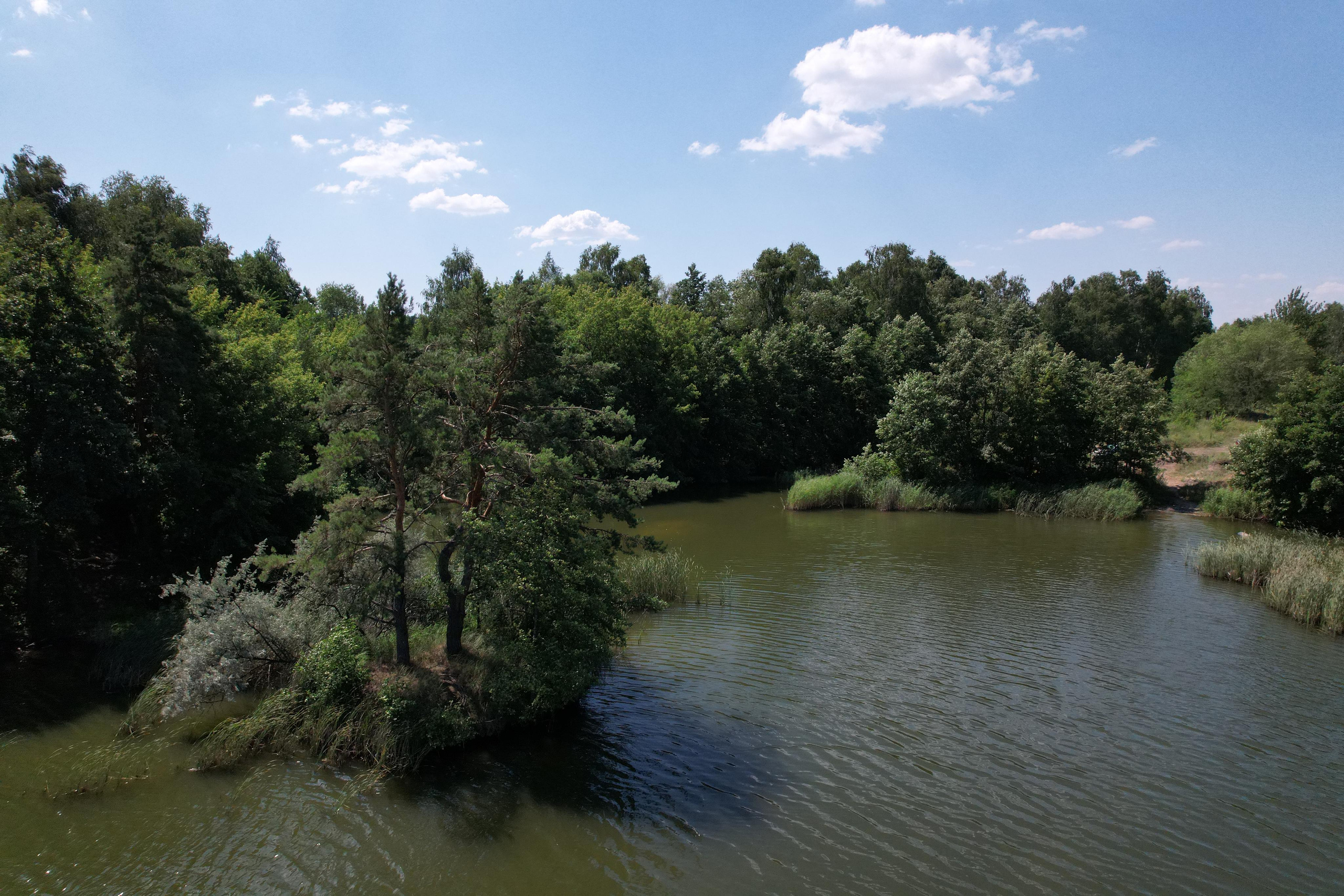 DJI — первый полёт. Свадебный, семейный и школьный фотограф в Сызрани Максим Баталов