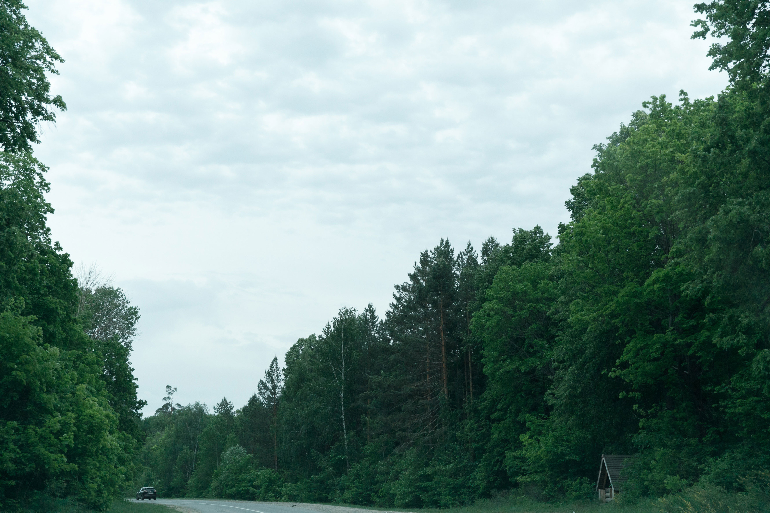 Классный отдых. Свадебный, семейный и школьный фотограф в Сызрани Максим Баталов