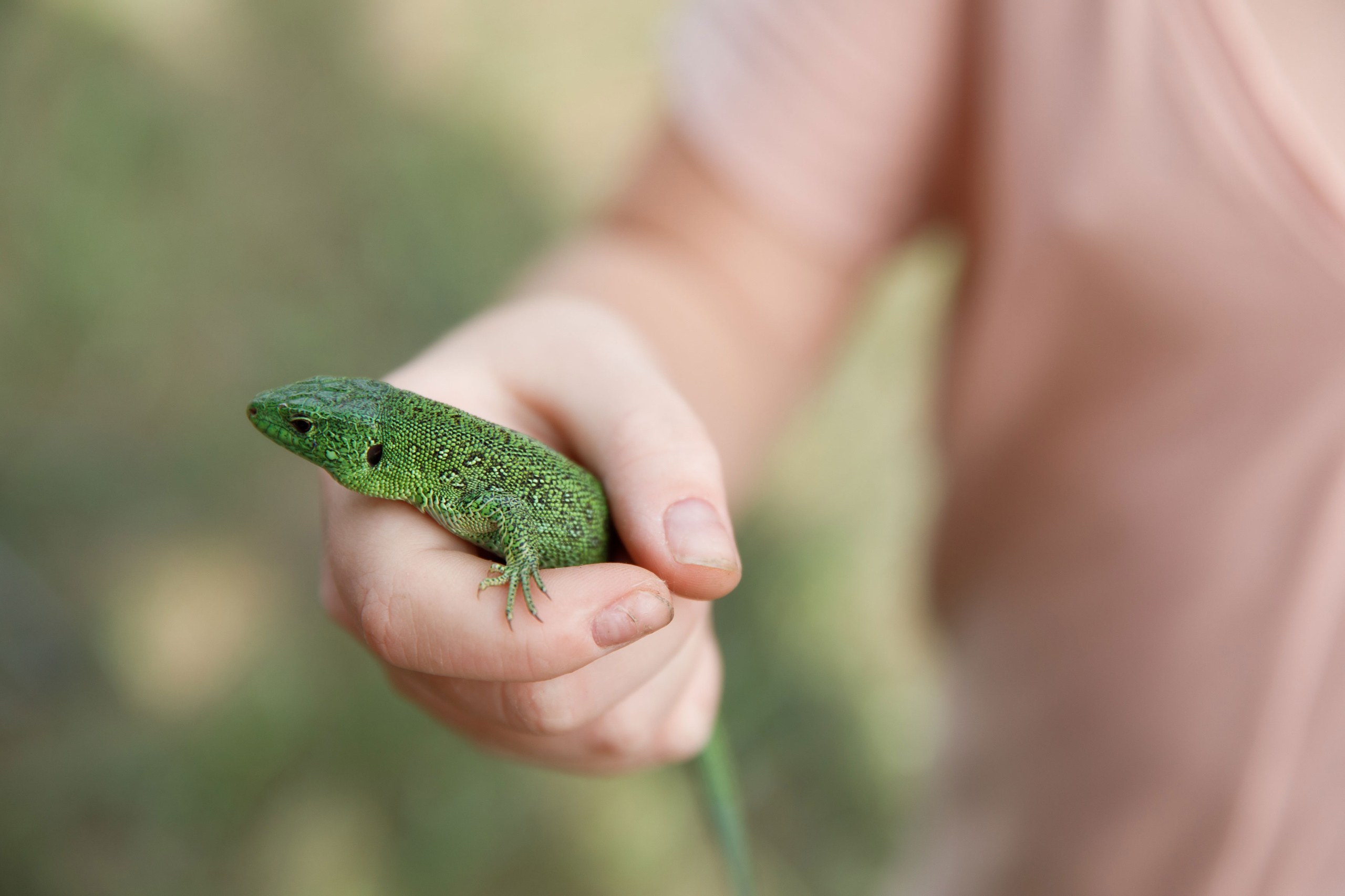 Классный отдых. Свадебный, семейный и школьный фотограф в Сызрани Максим Баталов