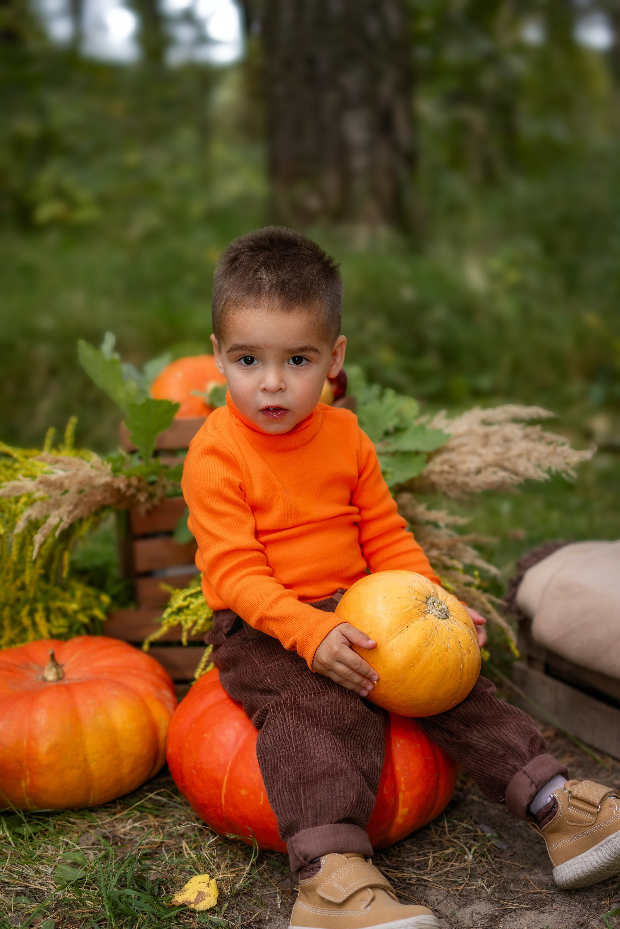 Семейные съёмки