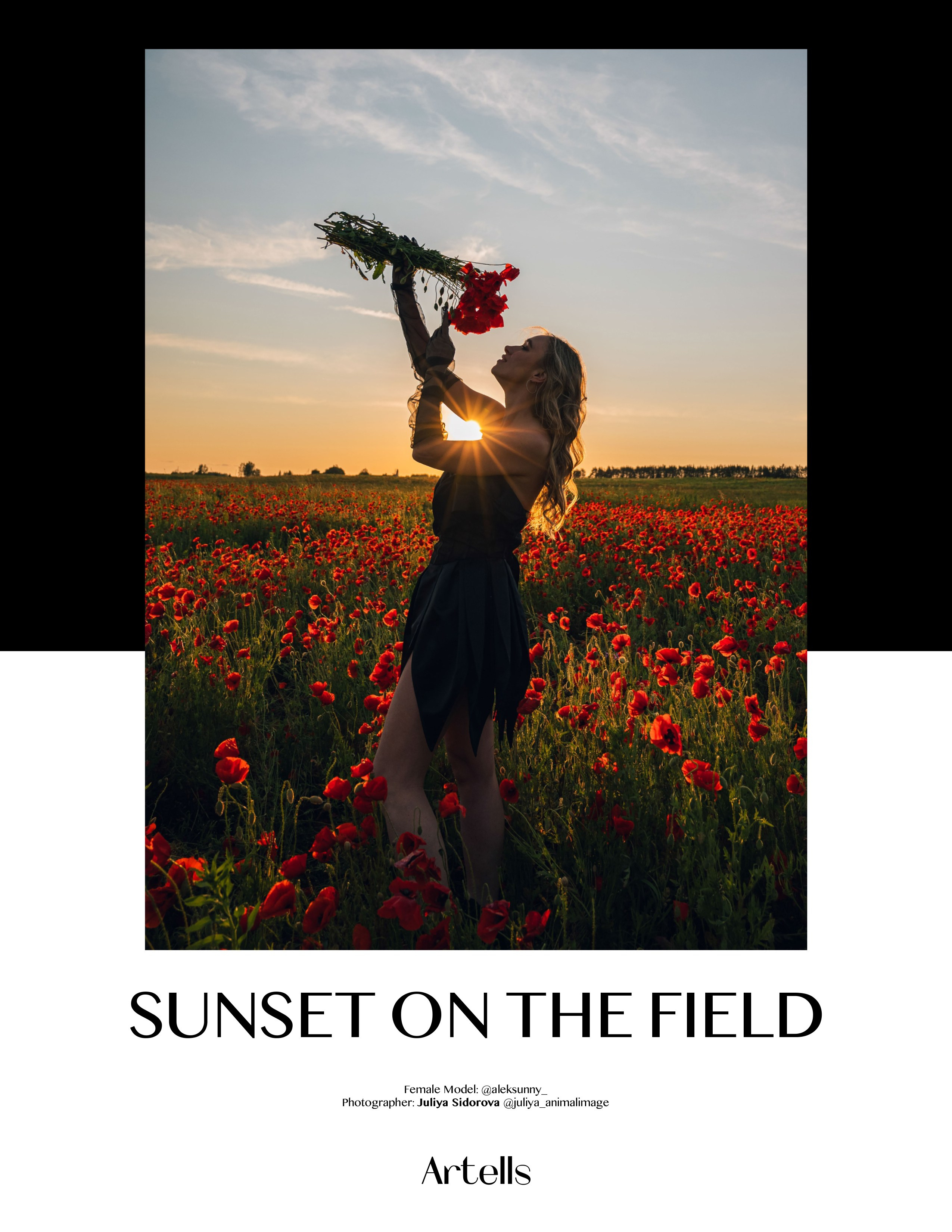 Публикации. Фотограф анималист