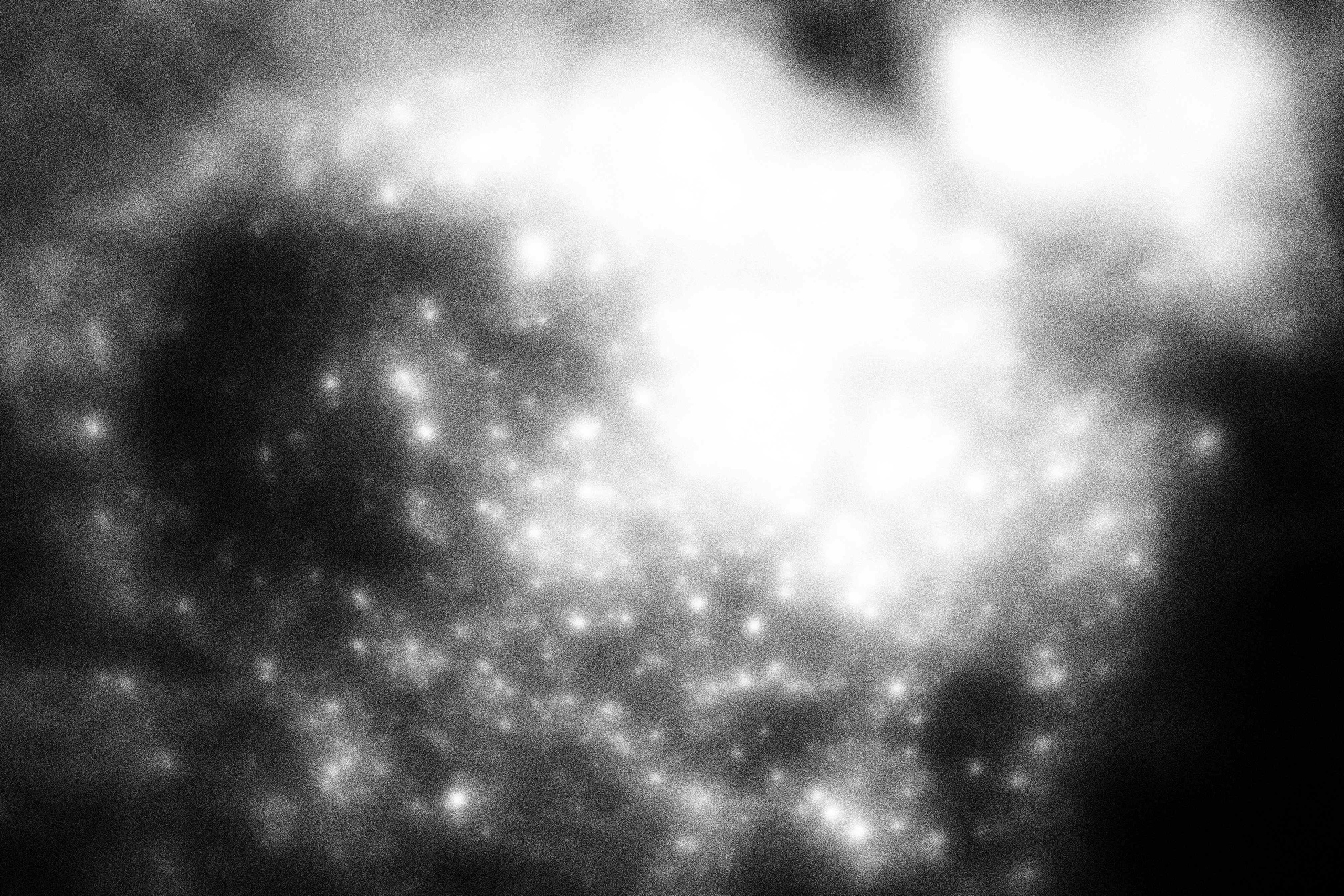 «Видеть. Чувствовать. Сохранять»