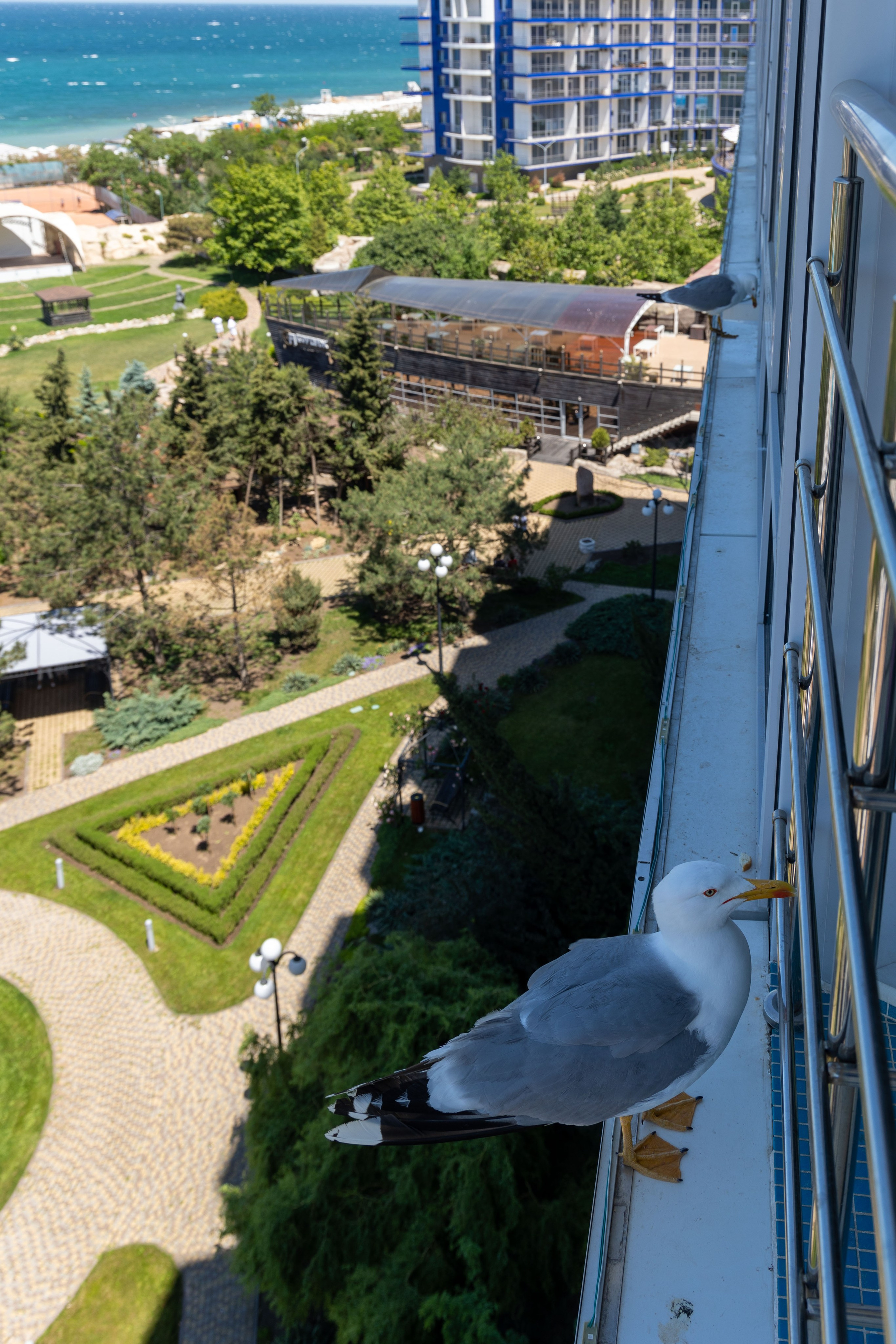 Фотограф Татьяна Марсуверских г. Жуковский, Москва и Мо. Репортажные съёмки, фотосессии,  фотограф анималист, фотосъёмка животных. Фотограф для маркетплейсов, фотоуслуги в Жуковском Татьяна Марсуверских