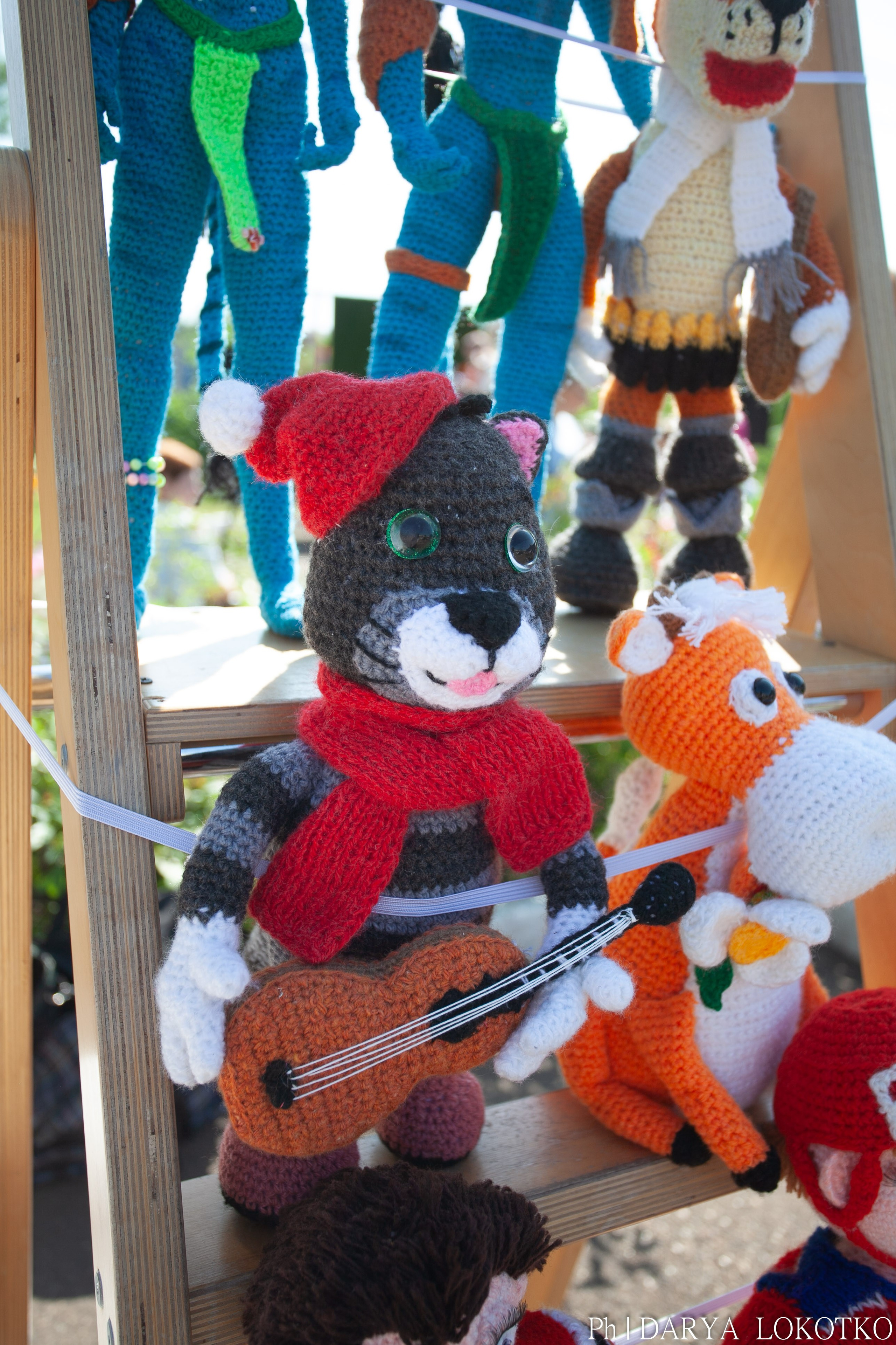 Умный фест. Фотограф Дарья Локотко в Красноярске