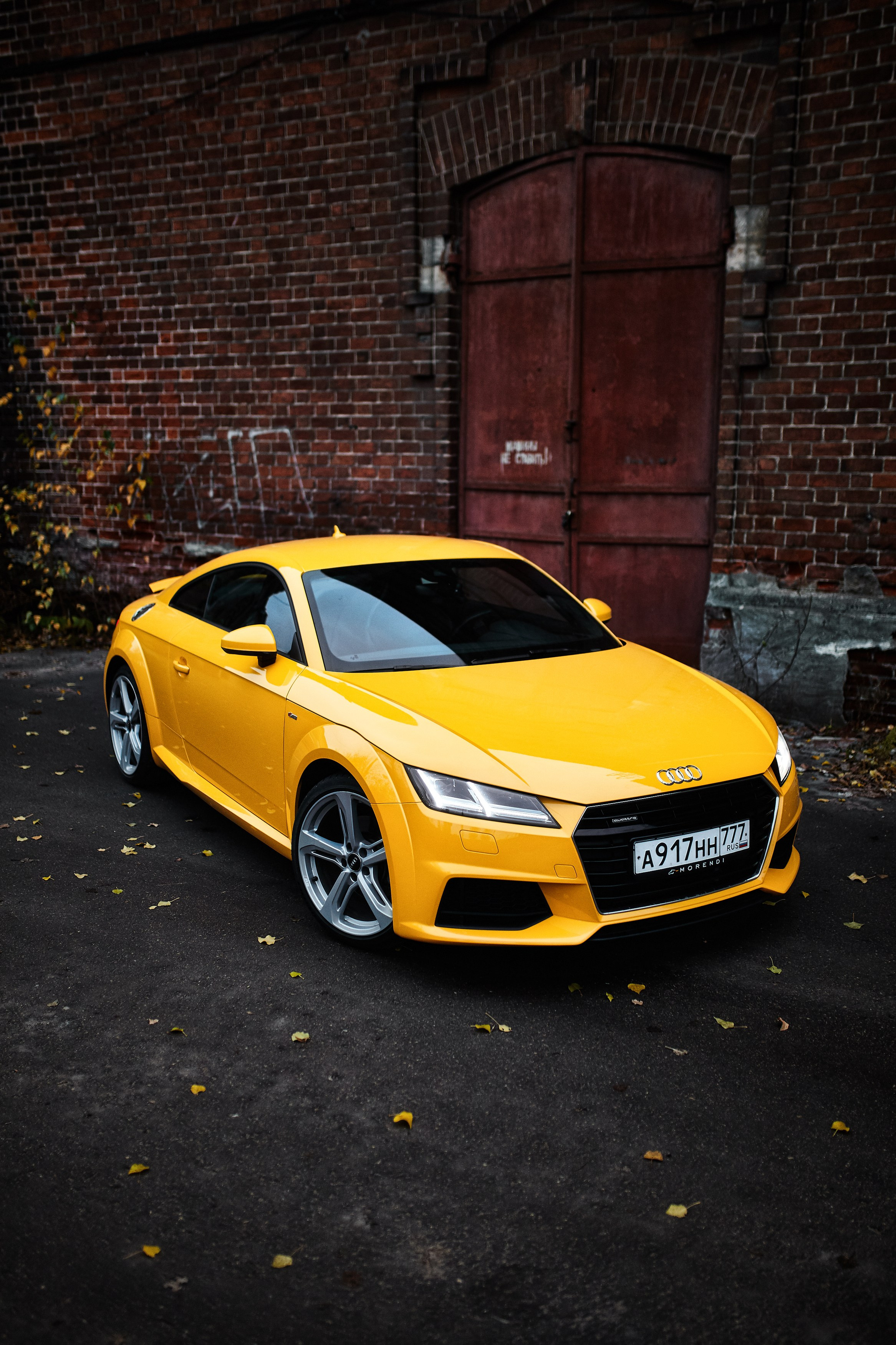 Audi TT. DKARPOCHEVA PHOTOGRAPHY