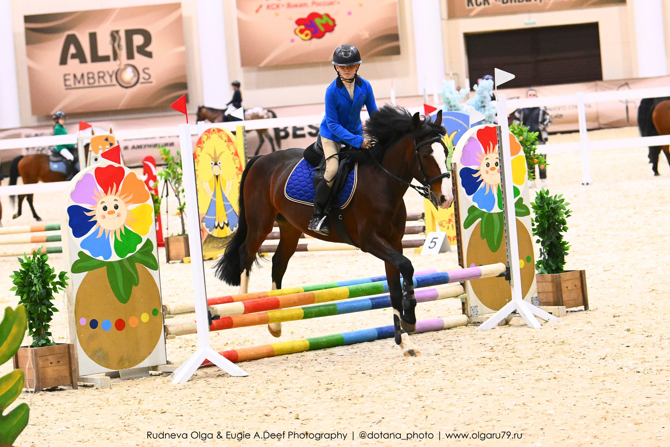 17-19 ОКТЯБРЯ 2025 Г — ХРУСТАЛЬНЫЙ ПОНИ (2-ЭТАП). ТУРНИРНАЯ КОННАЯ ФОТОГРАФИЯ, Руднева Ольга и Евгений Адеев