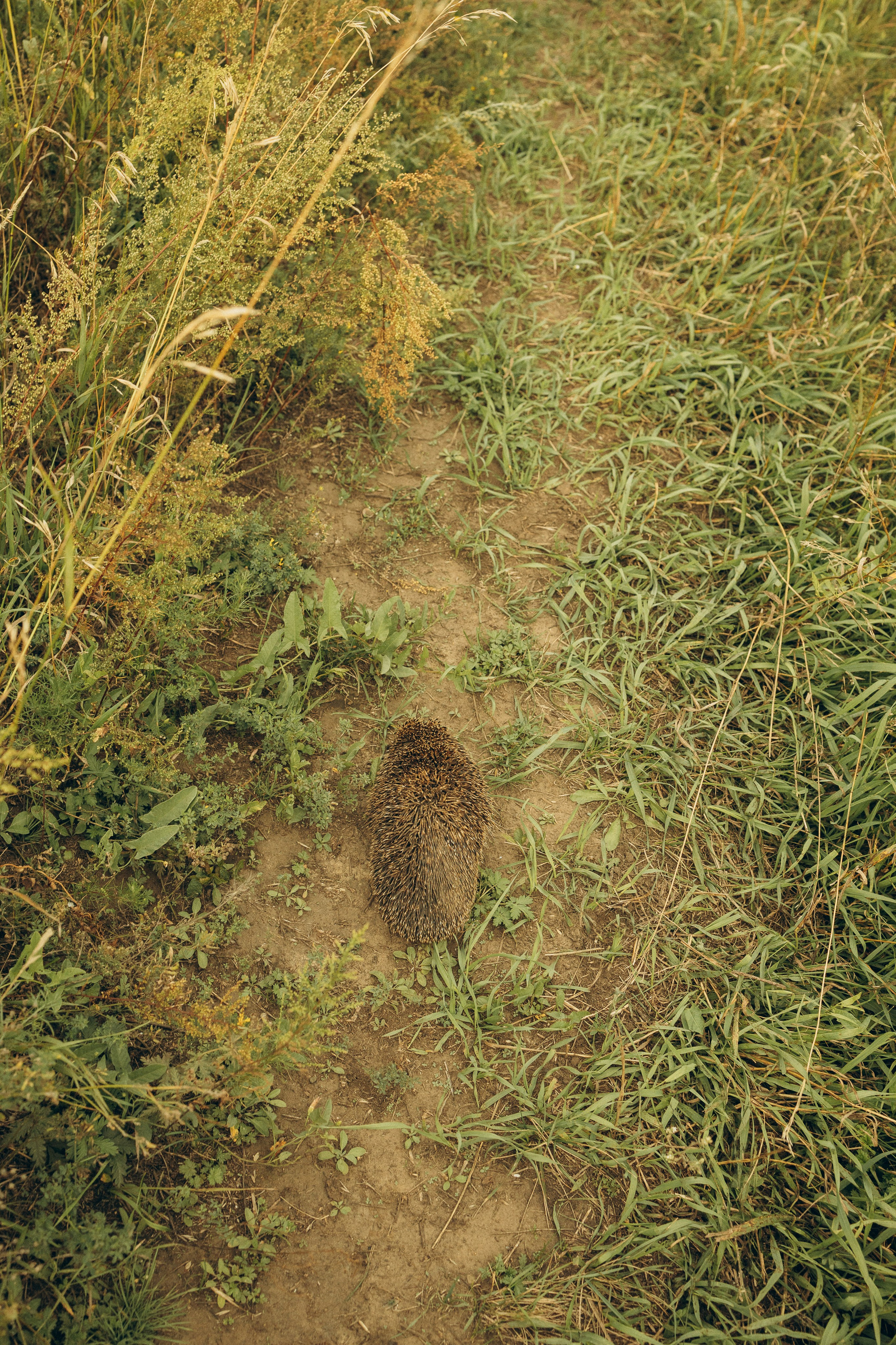 На природе. Семейный фотограф Новосибирск Фотограф на выписку Новосибирск