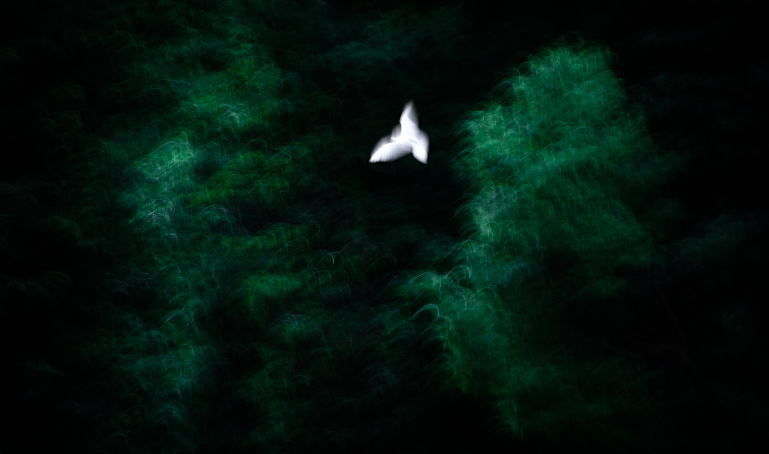 THE NATURE OF TIME. LUMEN DUO Art photography for interiors