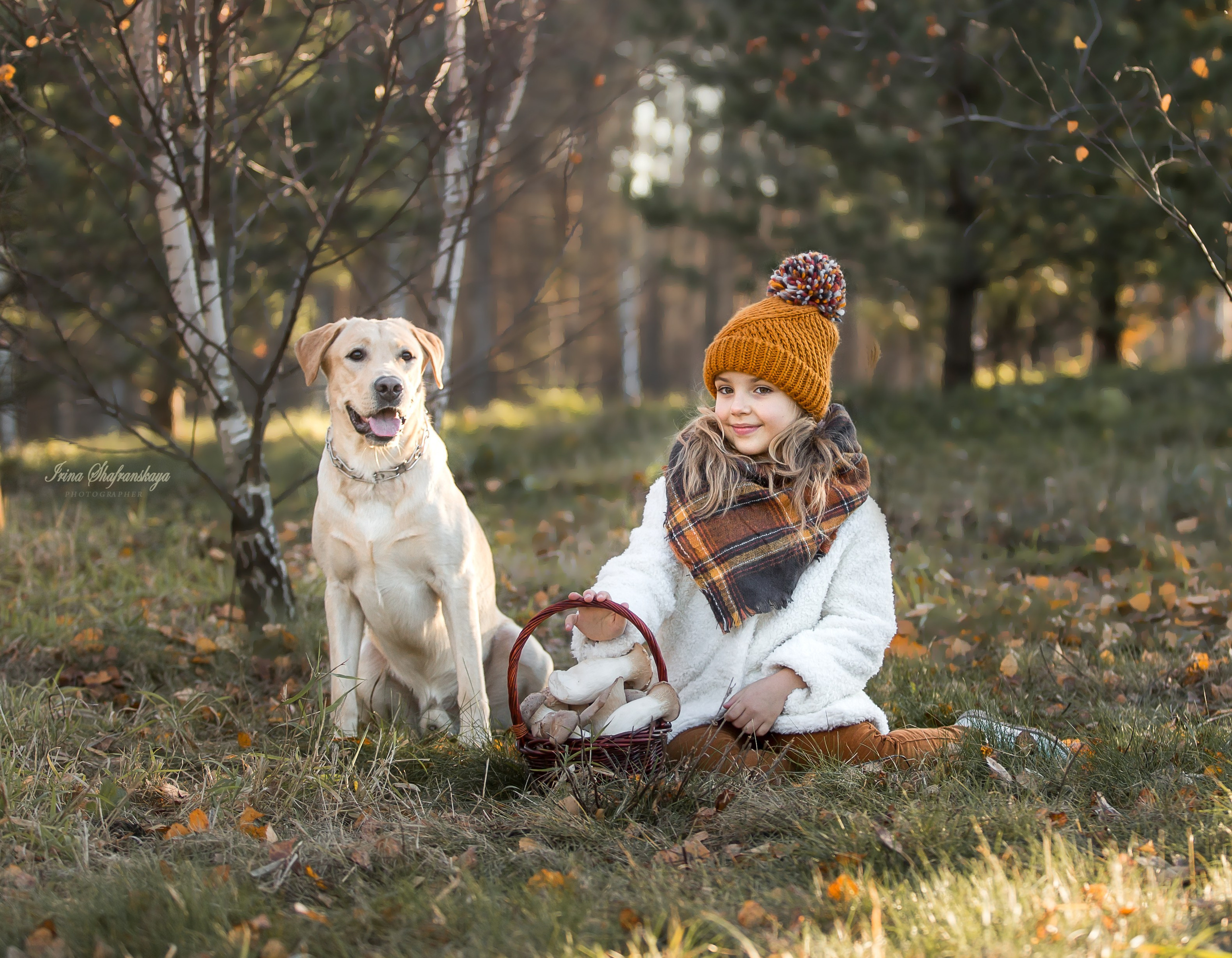 Фотопроект «4 лапки». Репортажный фотограф в Москве