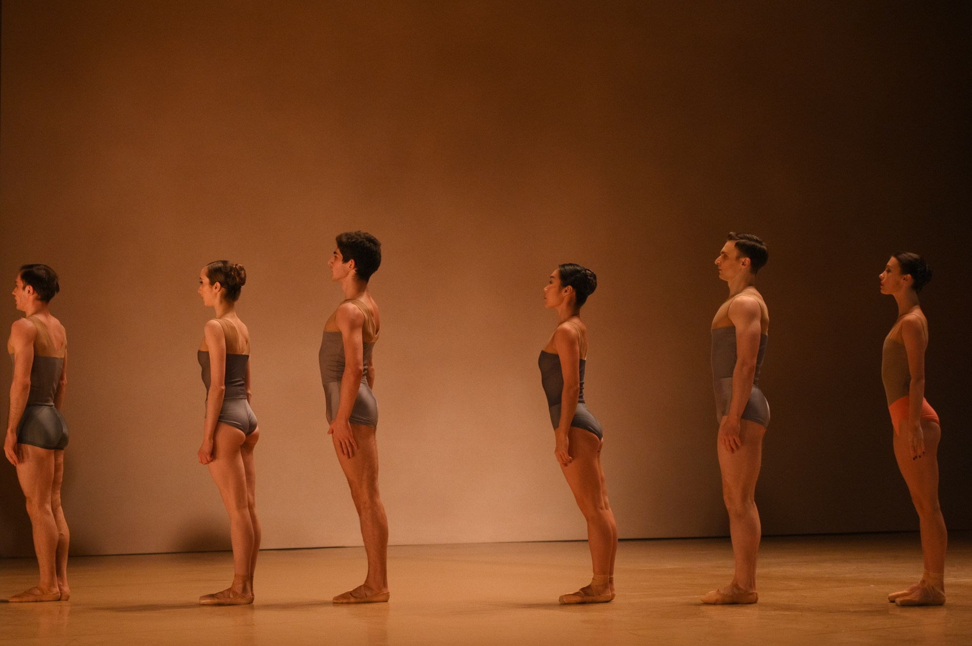 Балет Москва: Транскрипция цвета. Елена Дружинина. Спортивный и репортажный фотограф