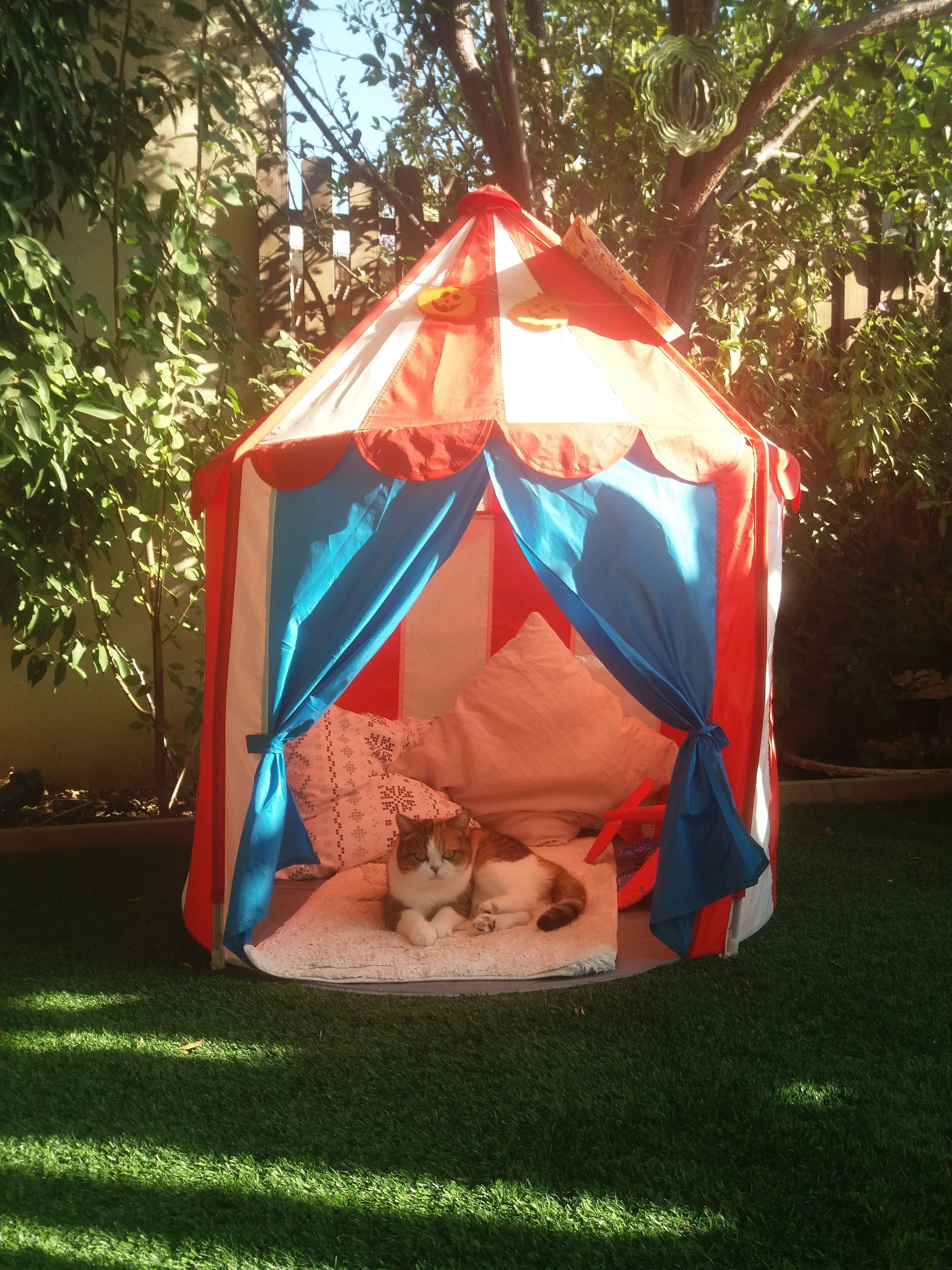 «Императрица и ее окружение». Художница Маргарита Гусак