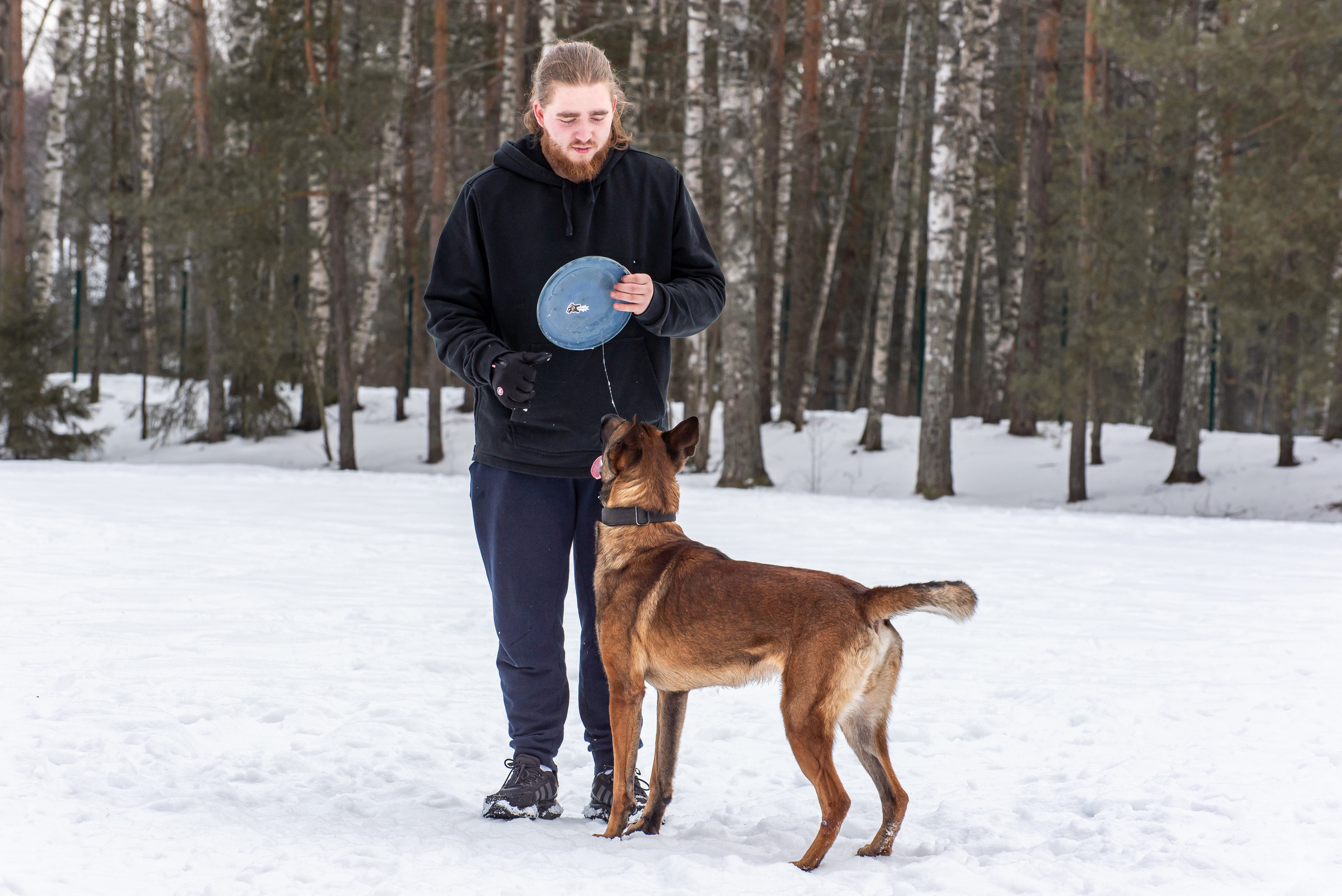 Фотосъёмка с собаками в Кинологическом лагере. Фотограф Макс Огурцов в Нижнем Новгороде