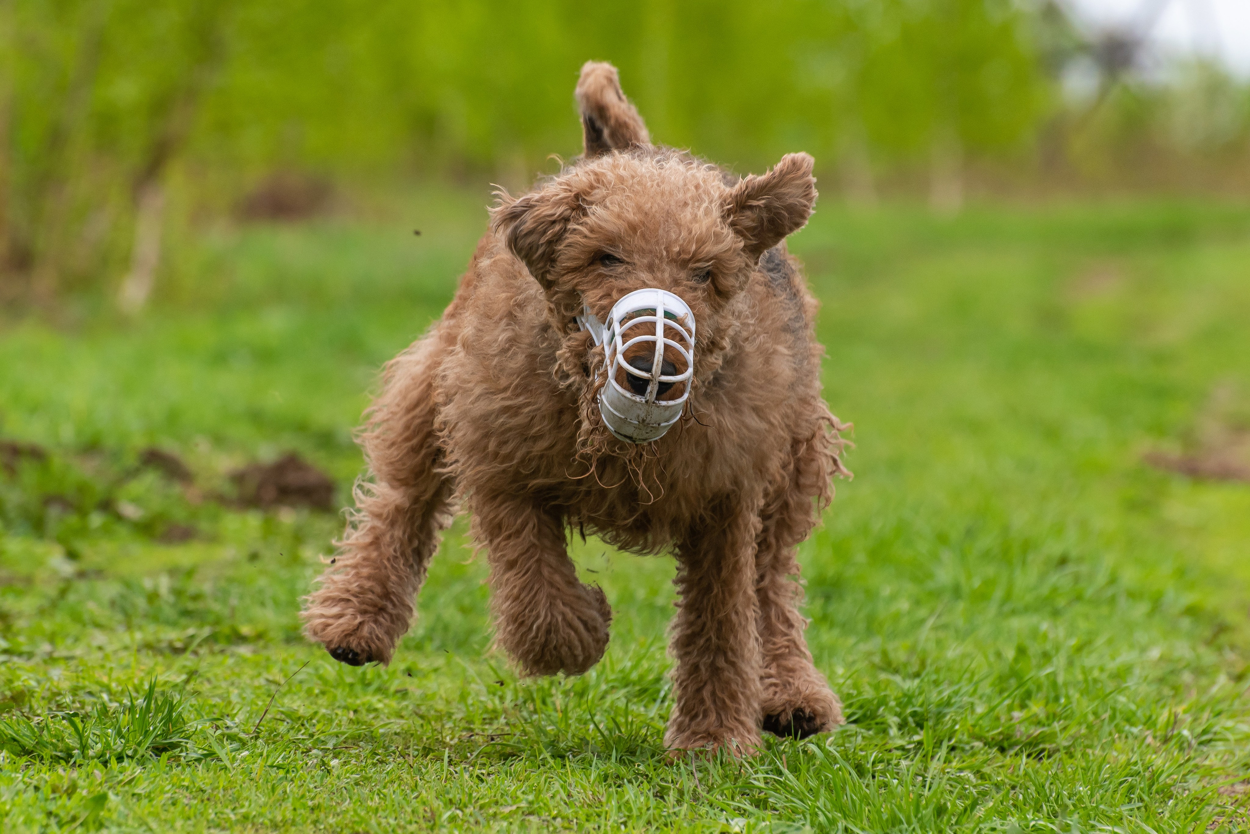Фотографии с Курсинга. Фотограф Макс Огурцов в Нижнем Новгороде