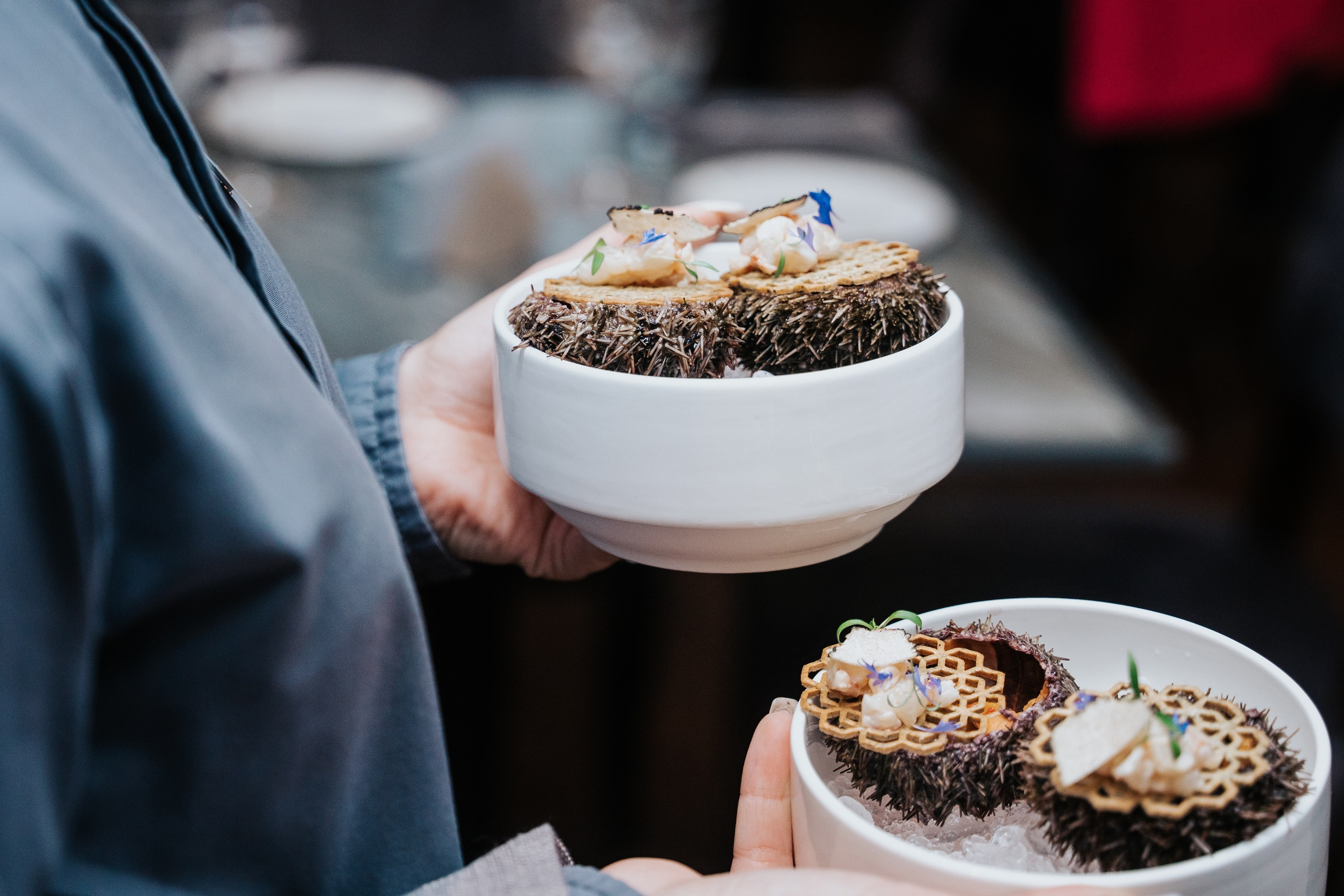 SOPKA. Фотограф Хабаровск